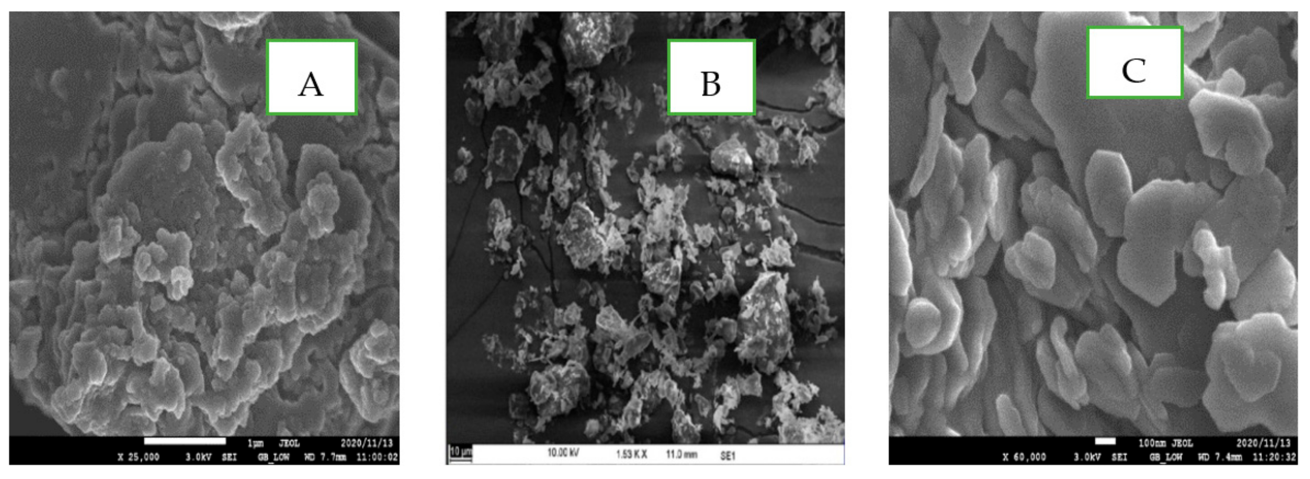 Applmicrobiol 01 00038 g008
