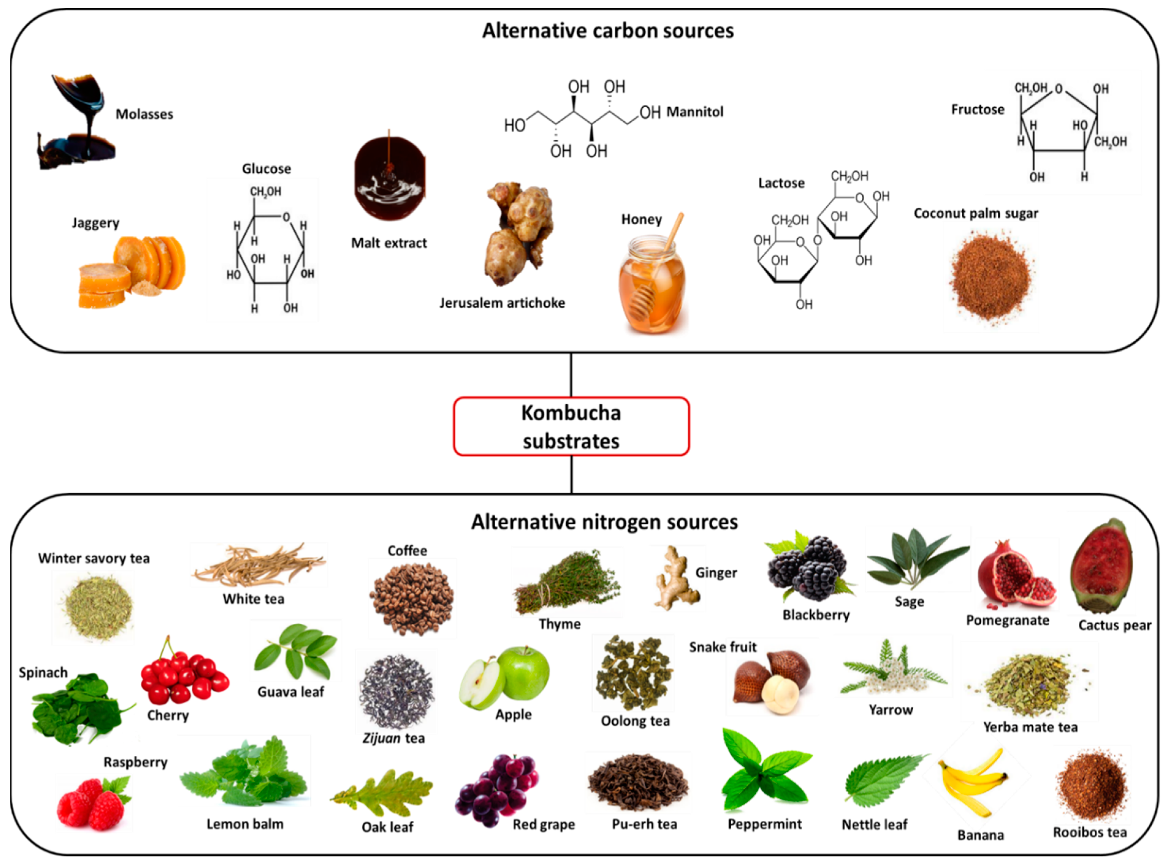 Applmicrobiol 02 00005 g002
