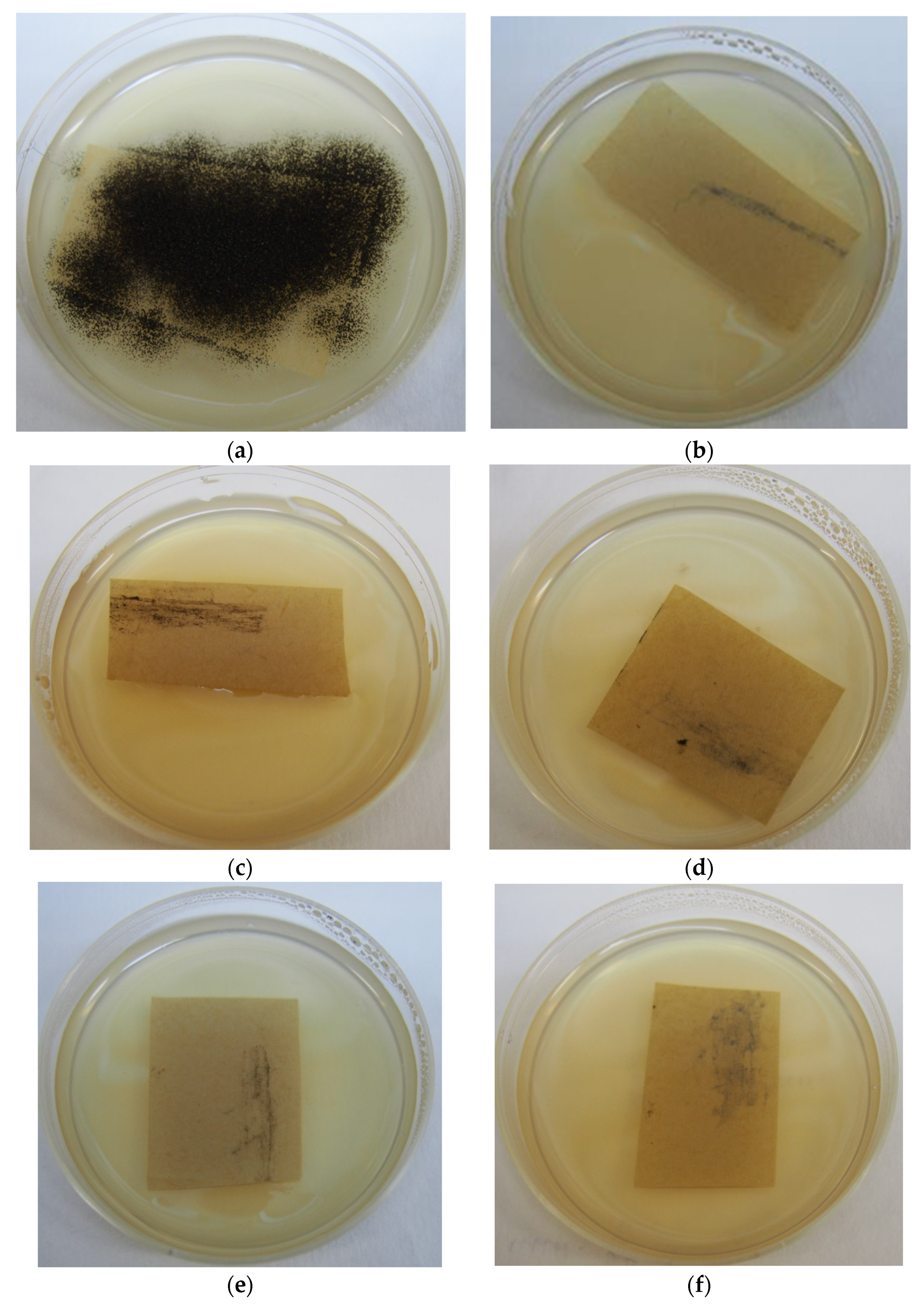 Applmicrobiol 02 00013 g001