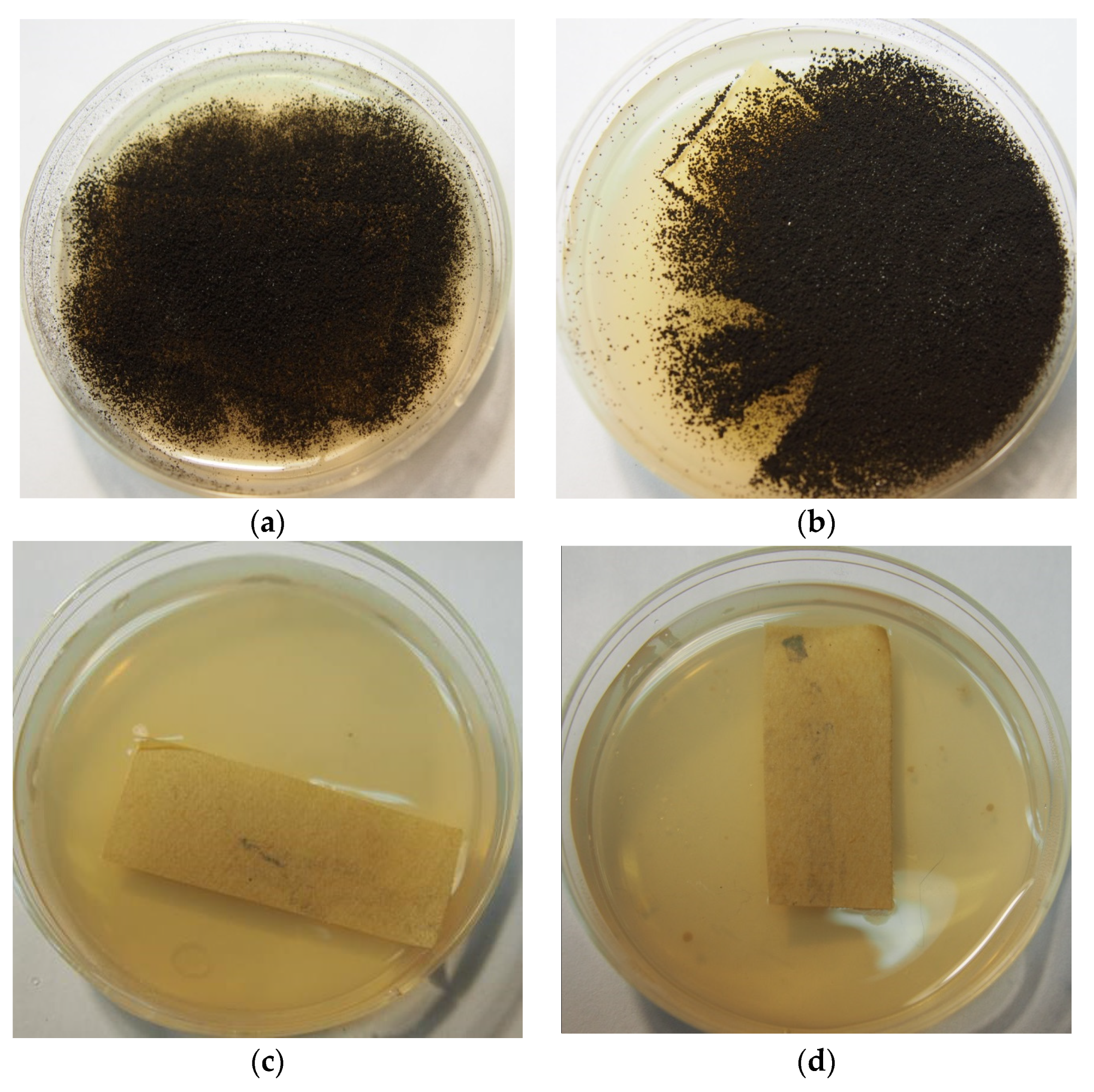 Applmicrobiol 02 00013 g002