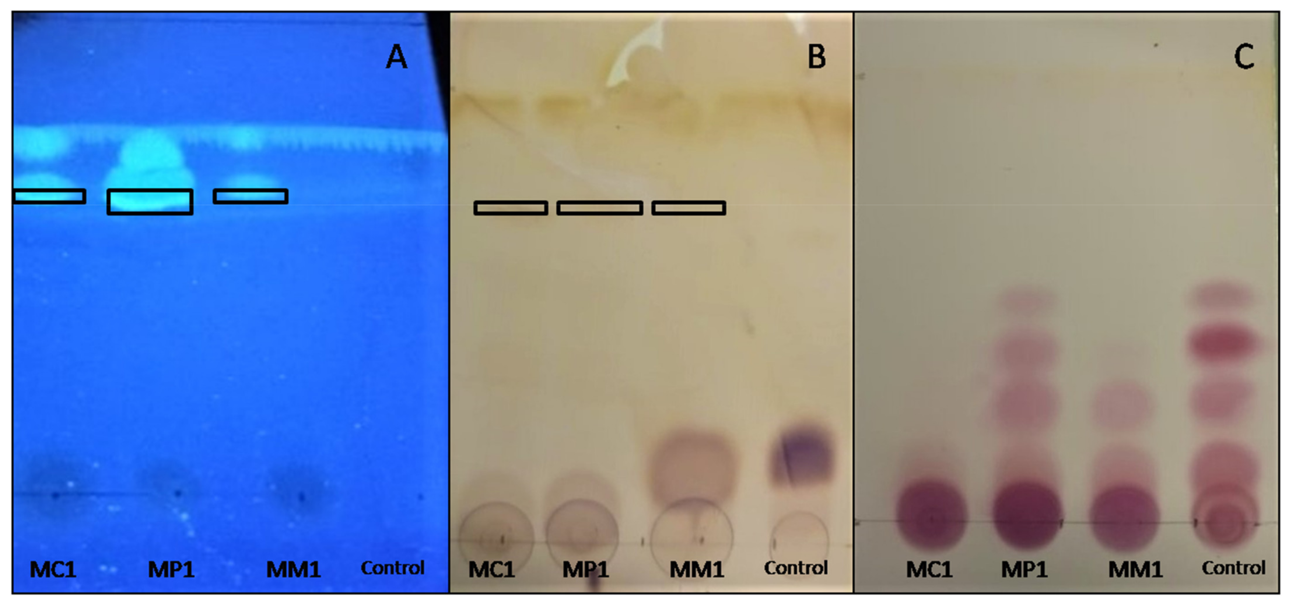 Applmicrobiol 02 00018 g003