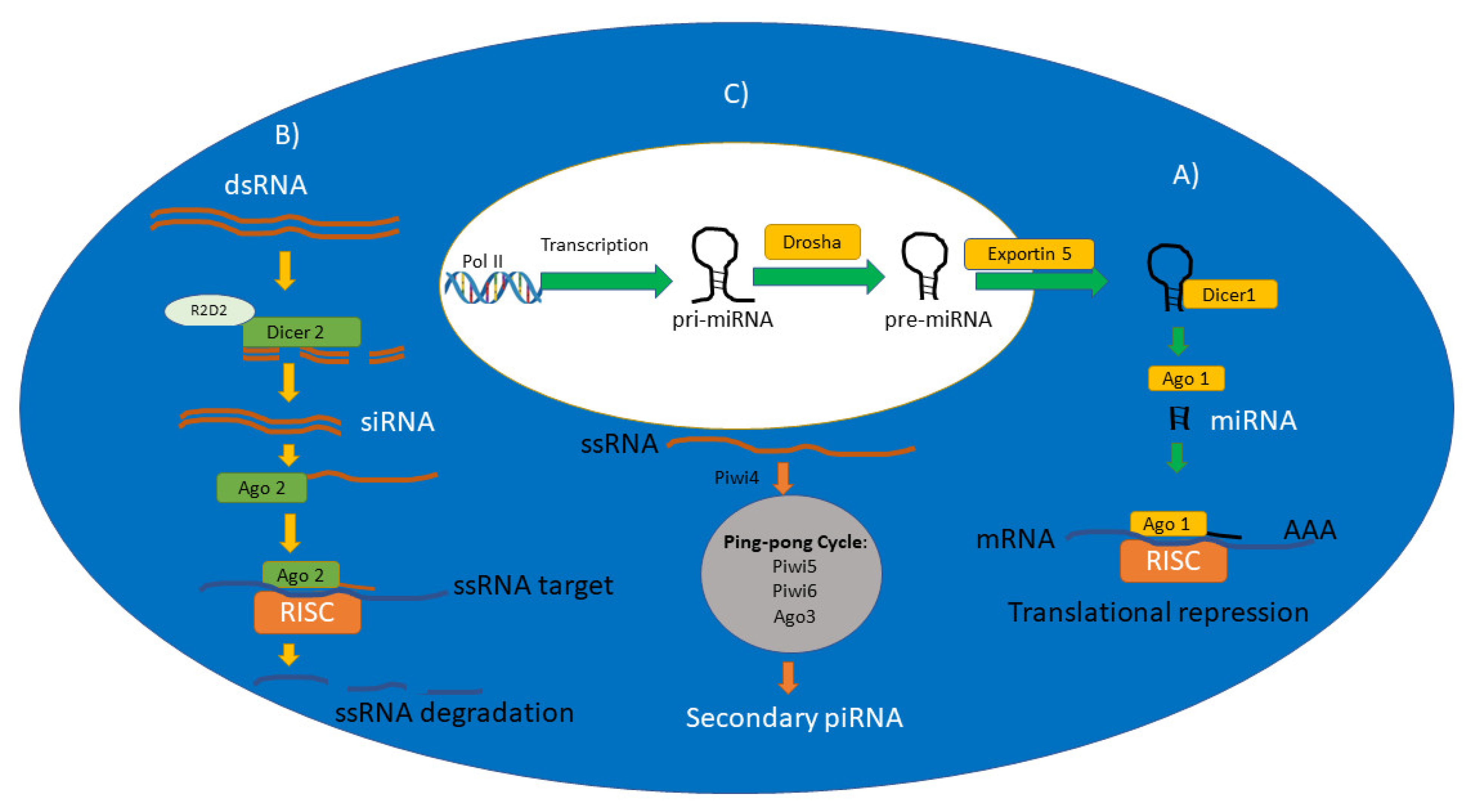 Applmicrobiol 02 00029 g001