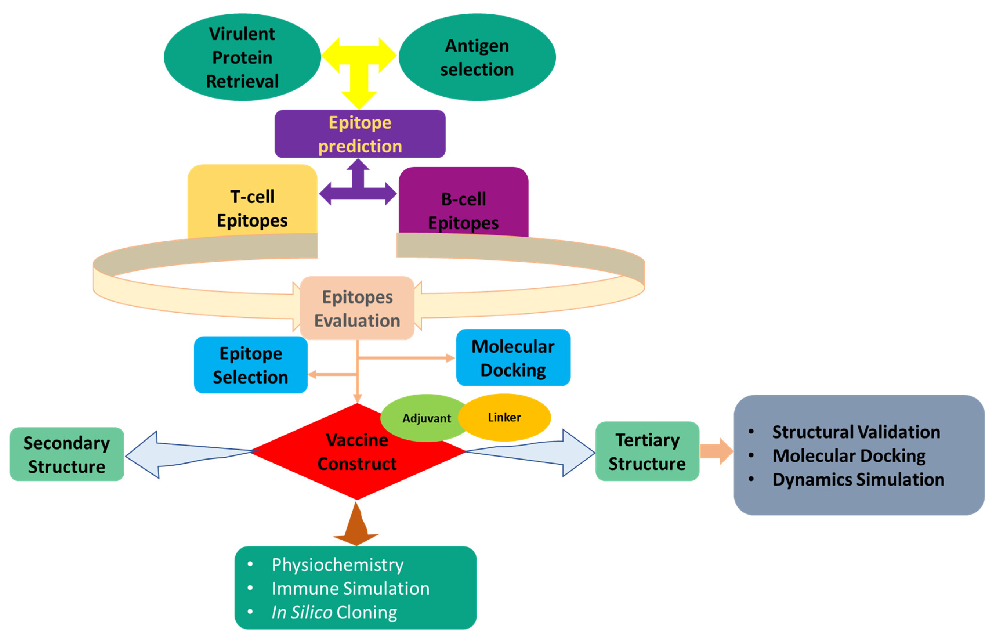 Applmicrobiol 02 00031 g001