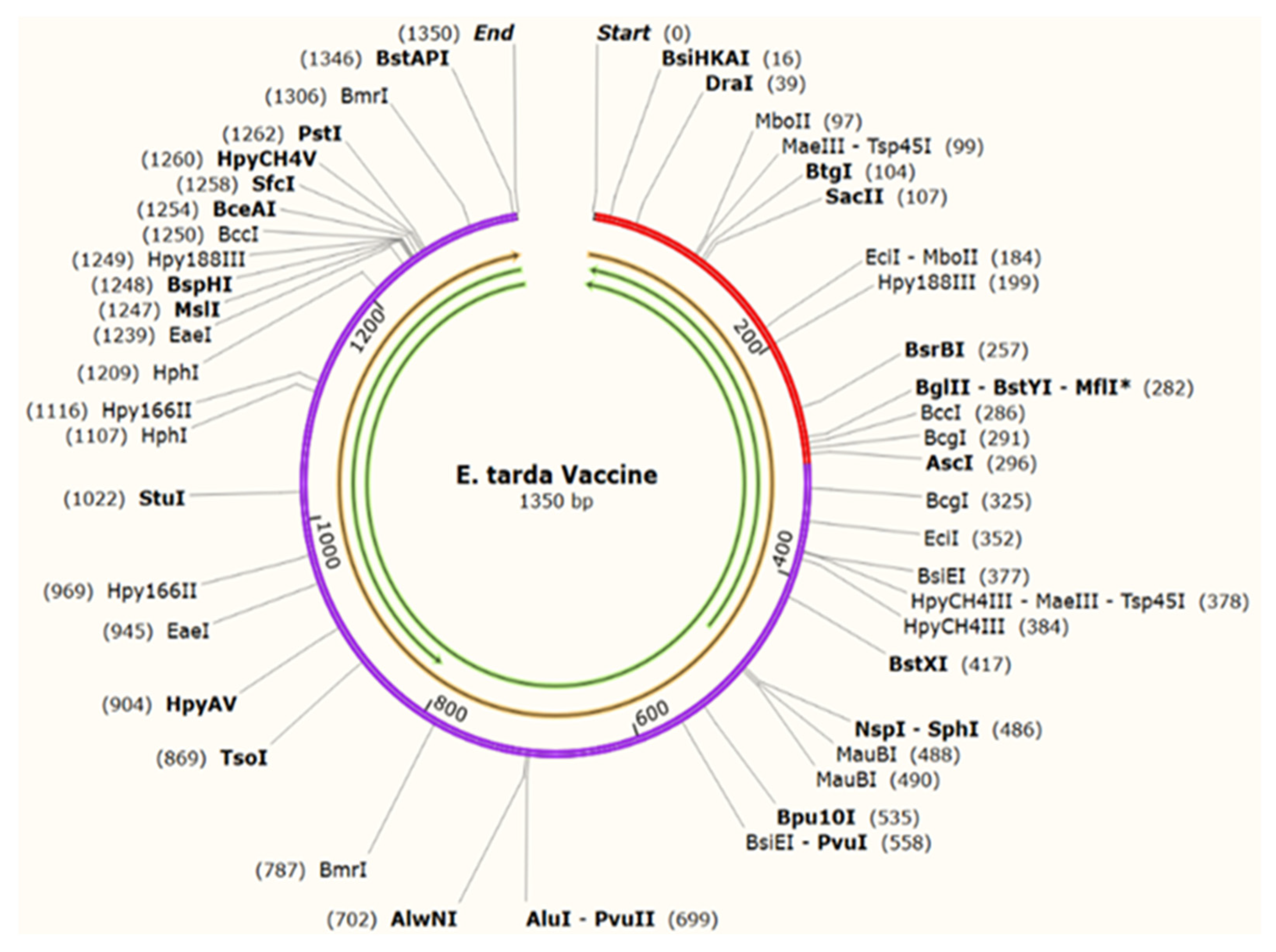 Applmicrobiol 02 00031 g011
