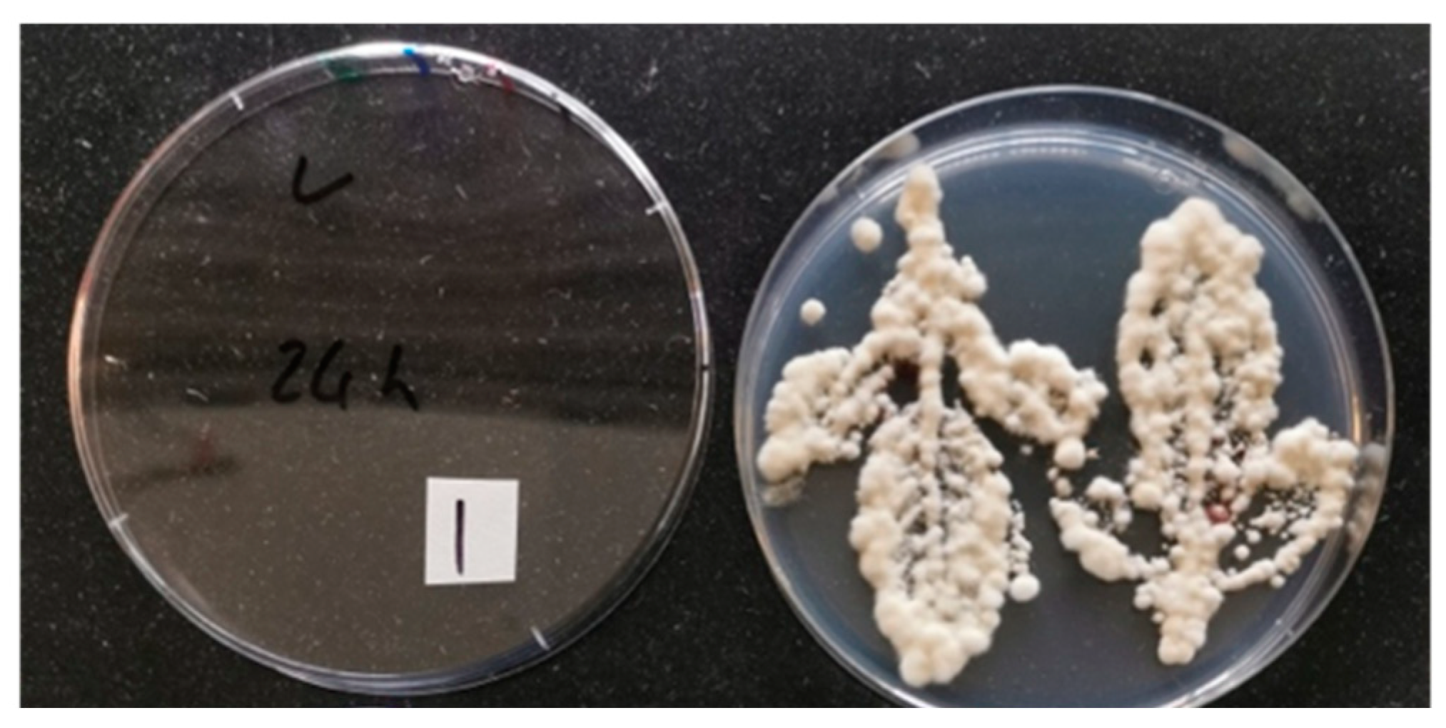 Applmicrobiol 02 00044 g002