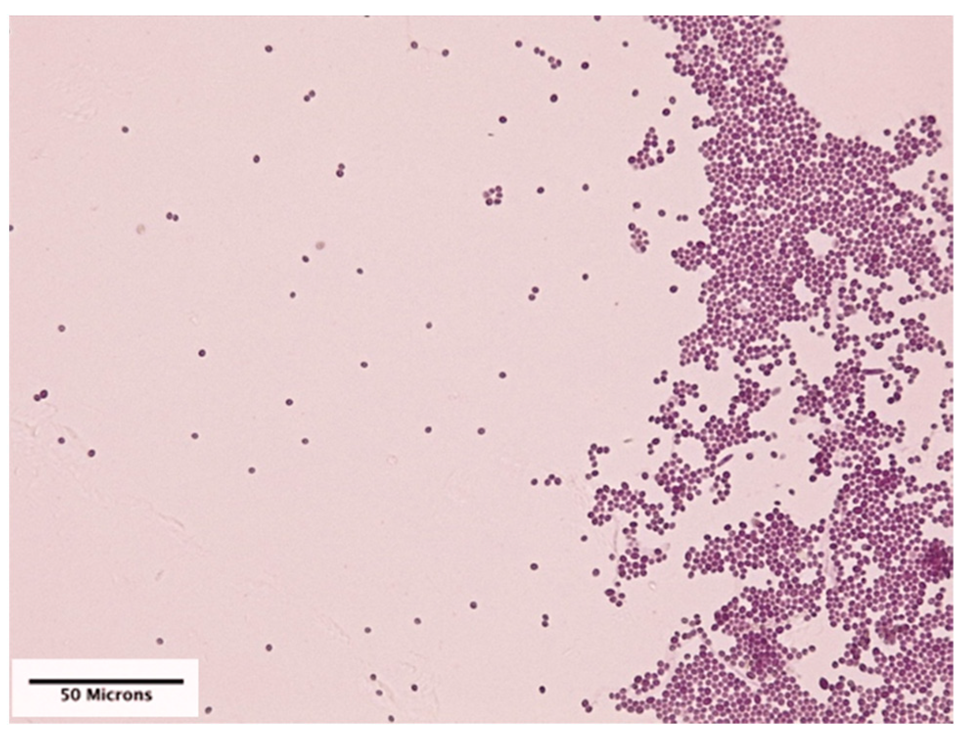 Applmicrobiol 02 00044 g003