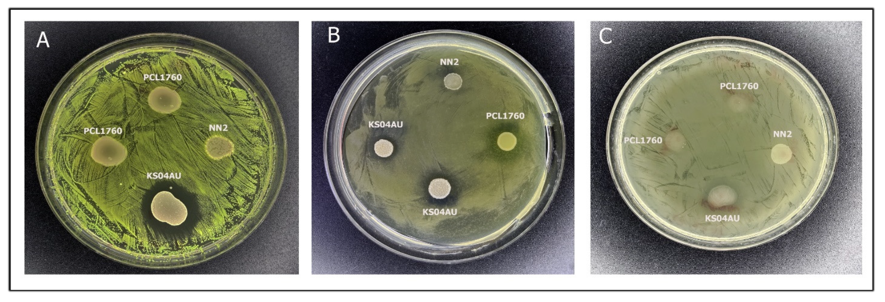 Applmicrobiol 02 00057 g003