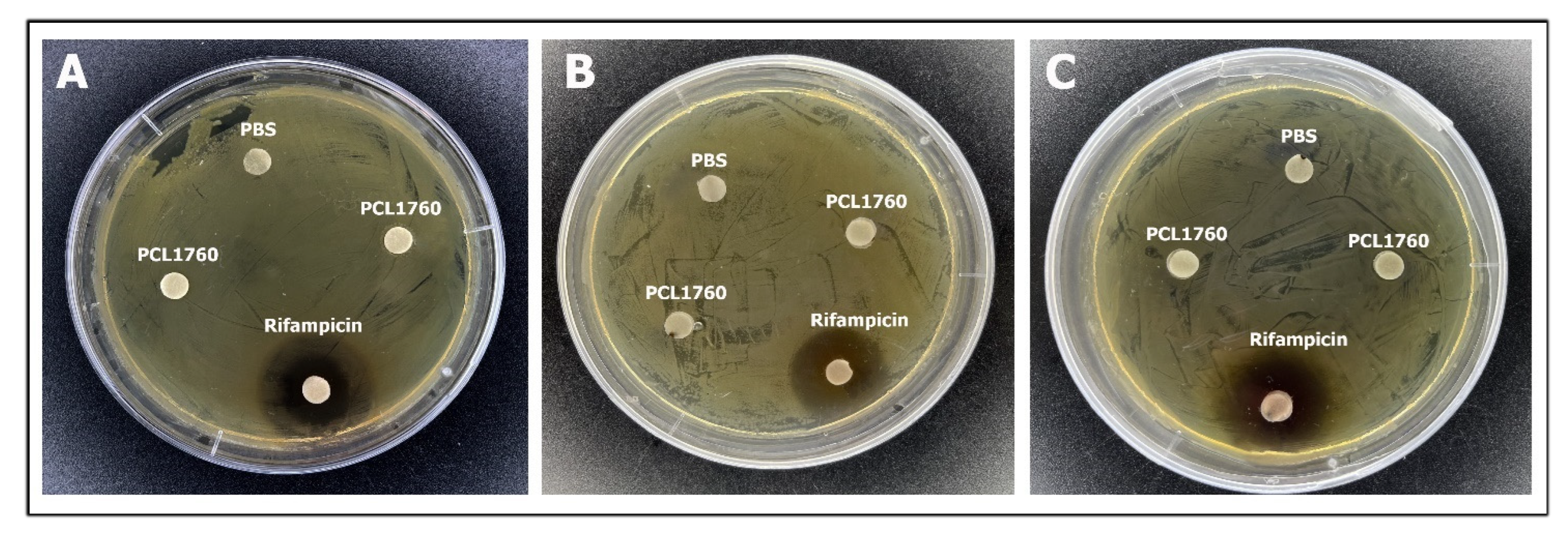 Applmicrobiol 02 00057 g004