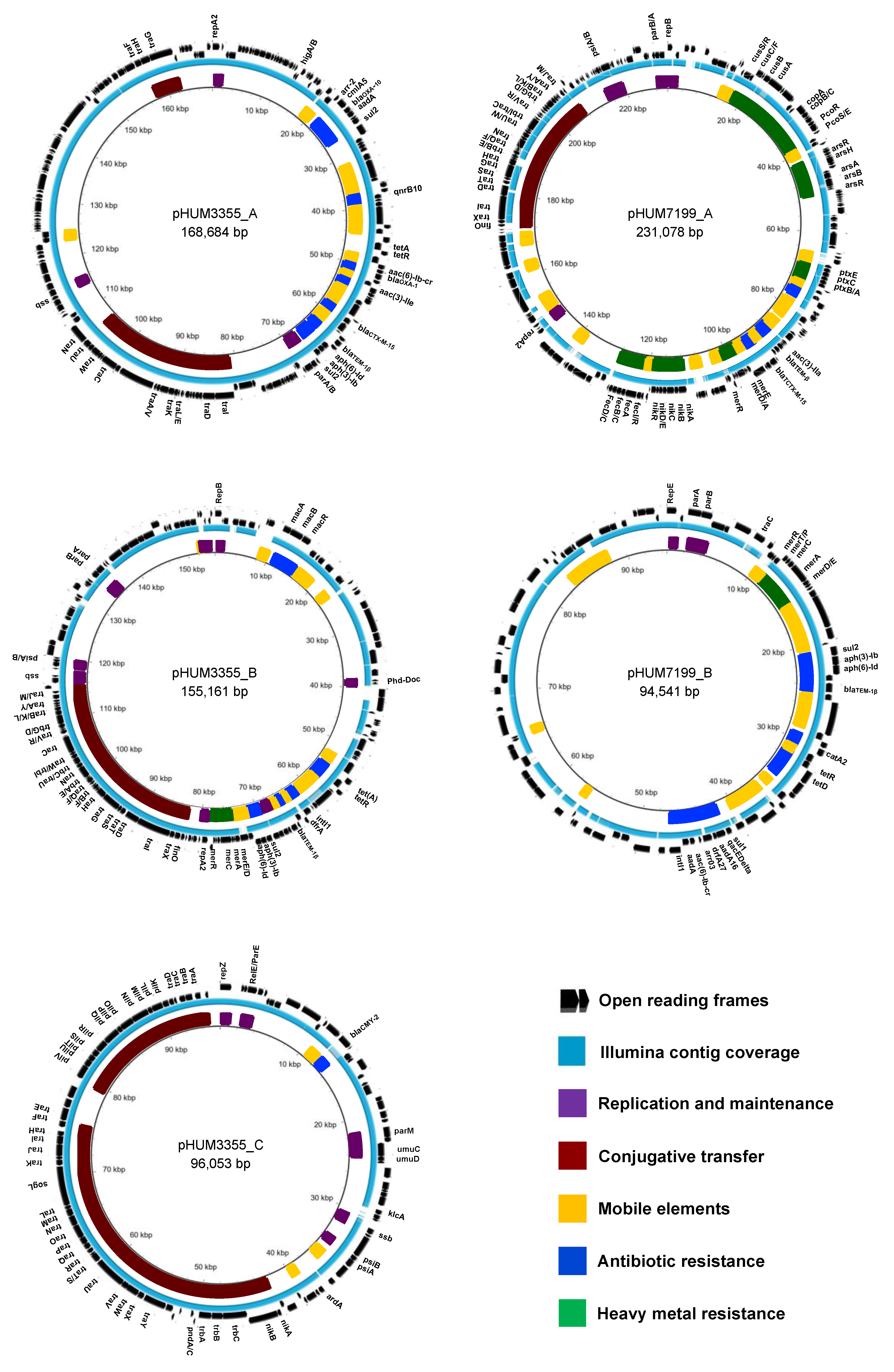 Applmicrobiol 02 00071 g003