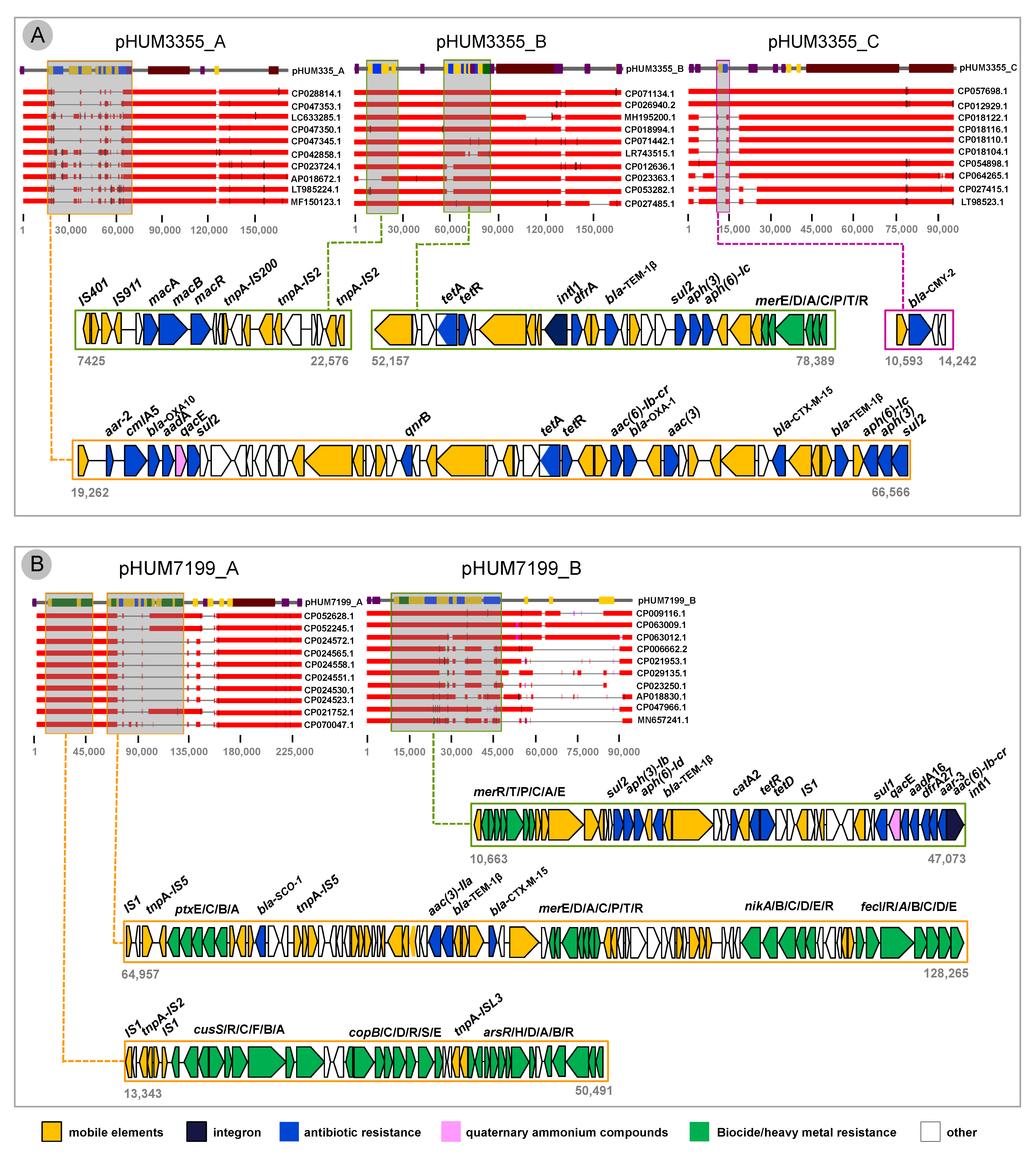 Applmicrobiol 02 00071 g004