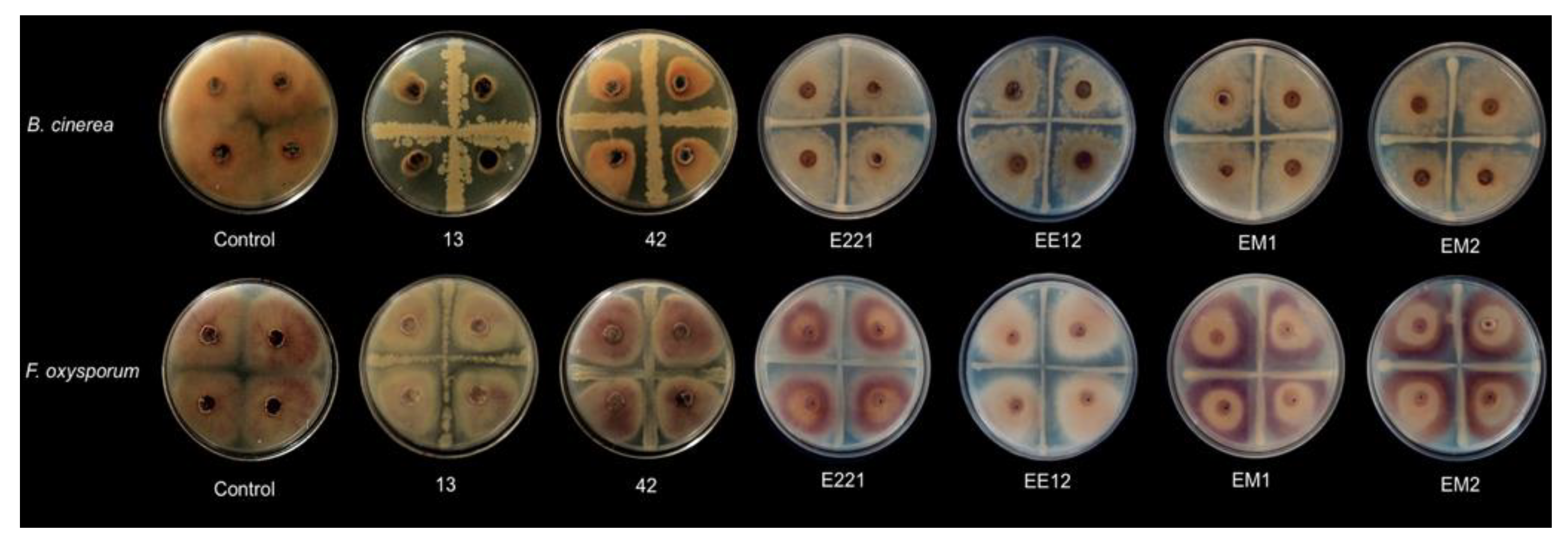Applmicrobiol 02 00074 g002