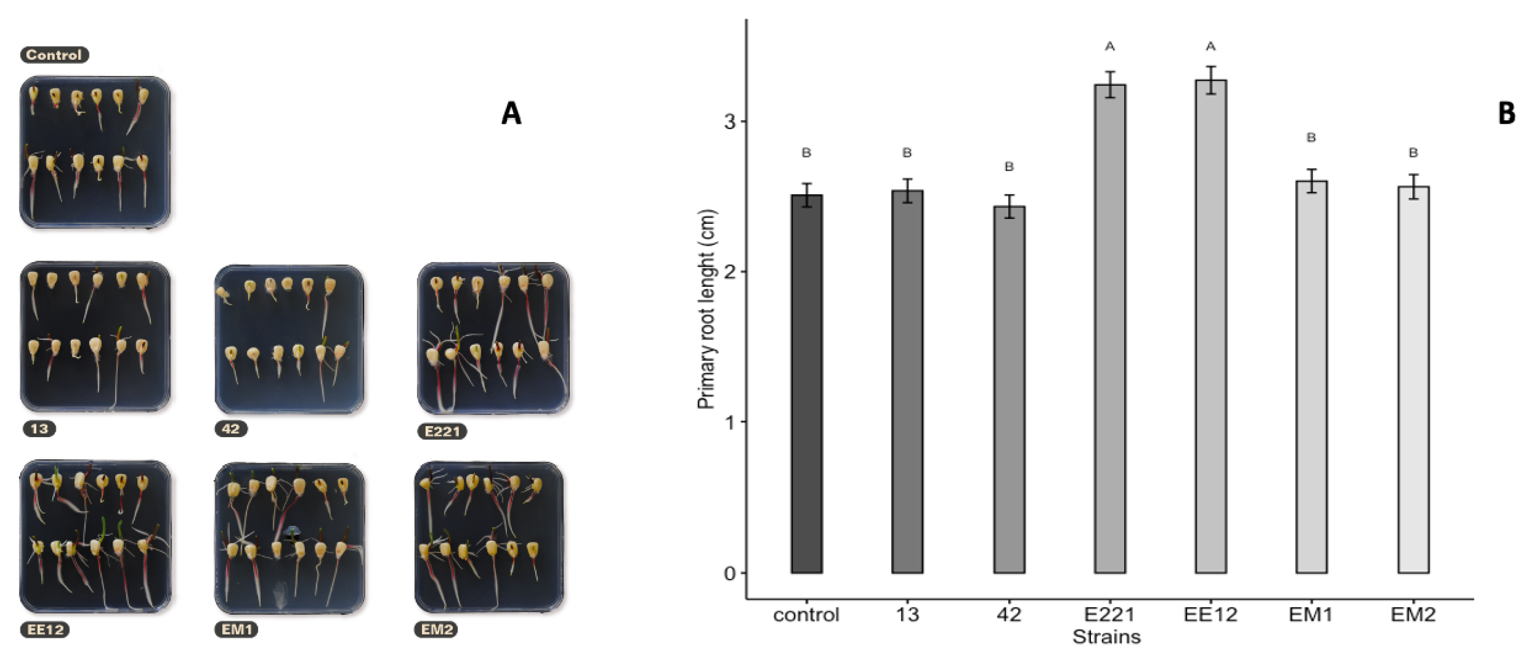 Applmicrobiol 02 00074 g004