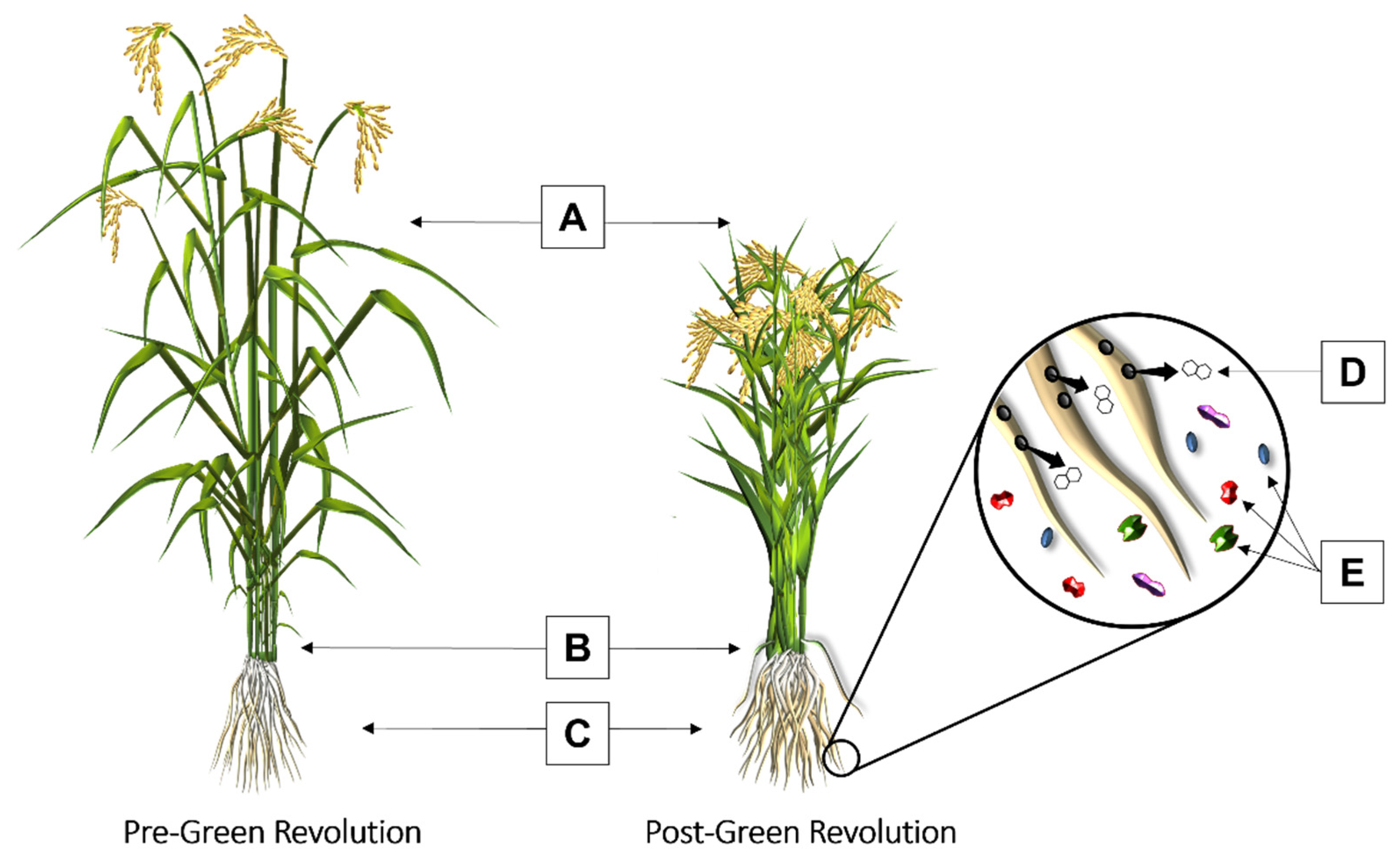 Applmicrobiol 02 00076 g001