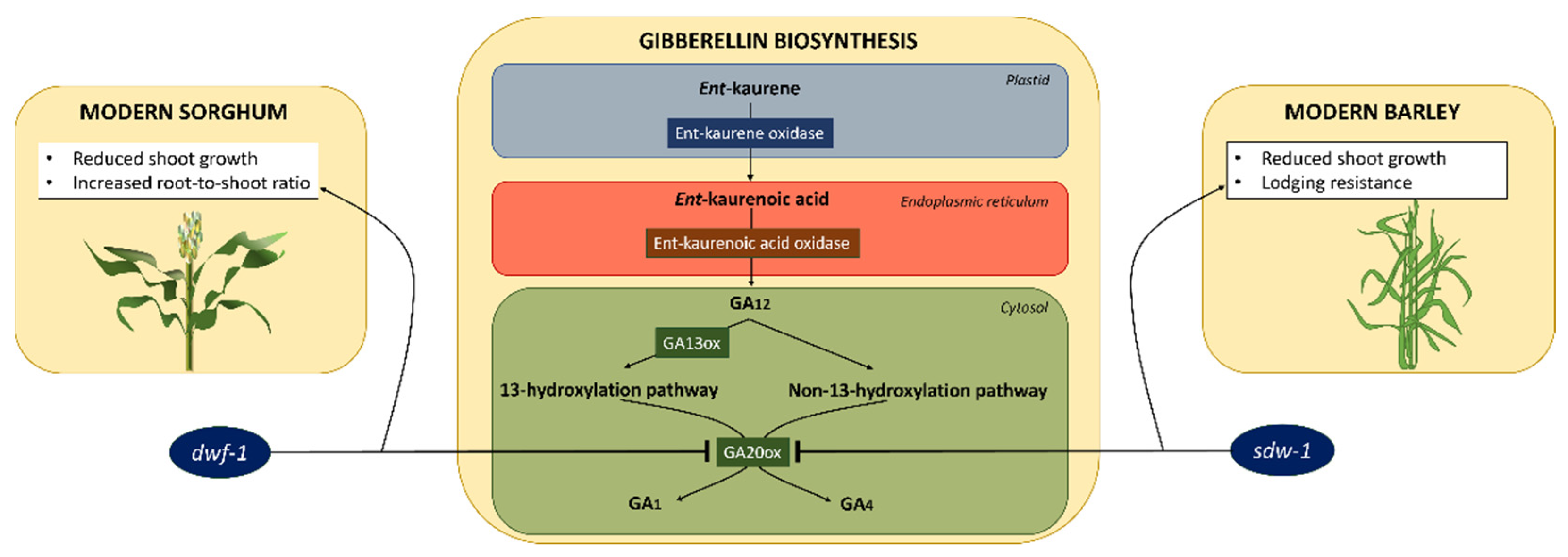 Applmicrobiol 02 00076 g003