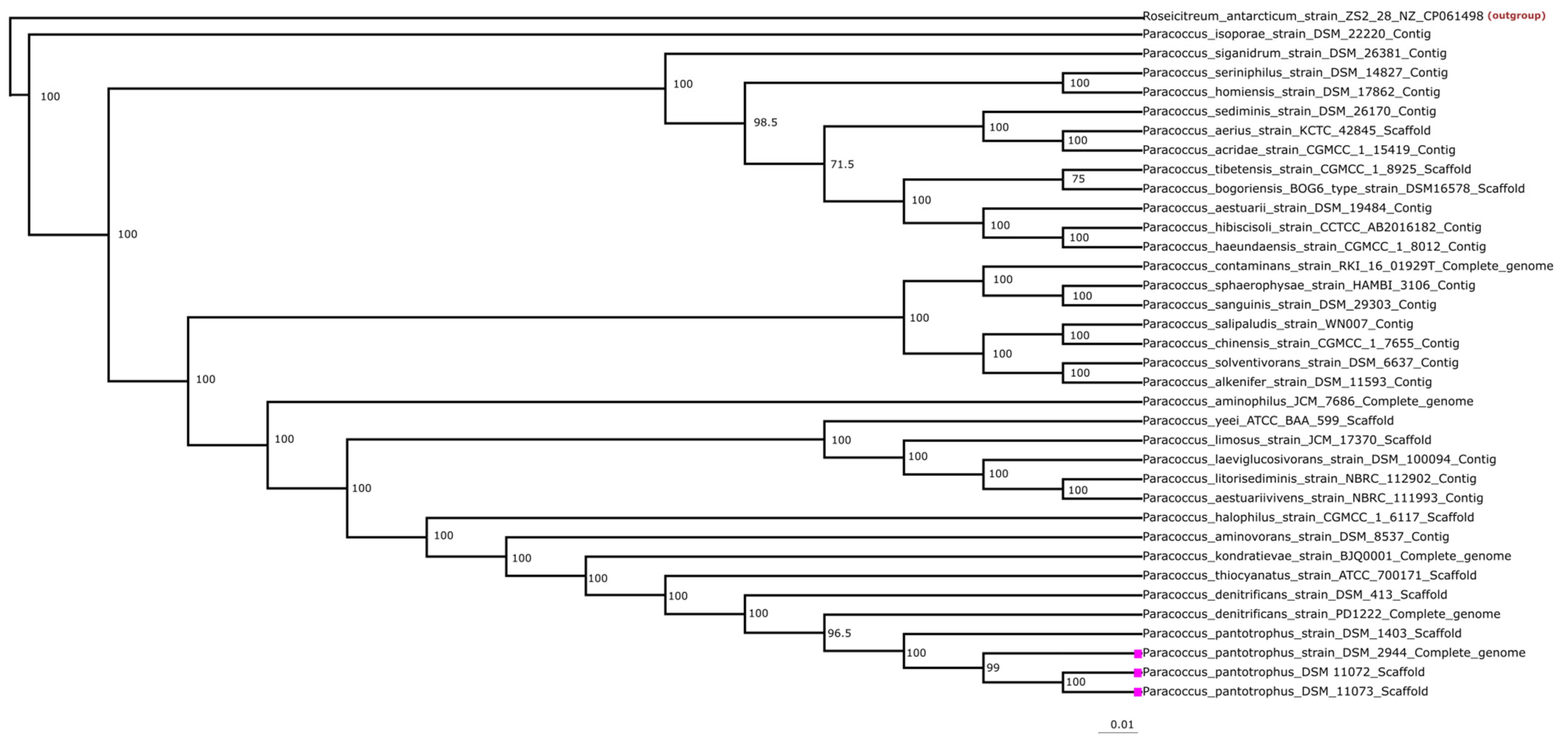 Applmicrobiol 03 00013 g001