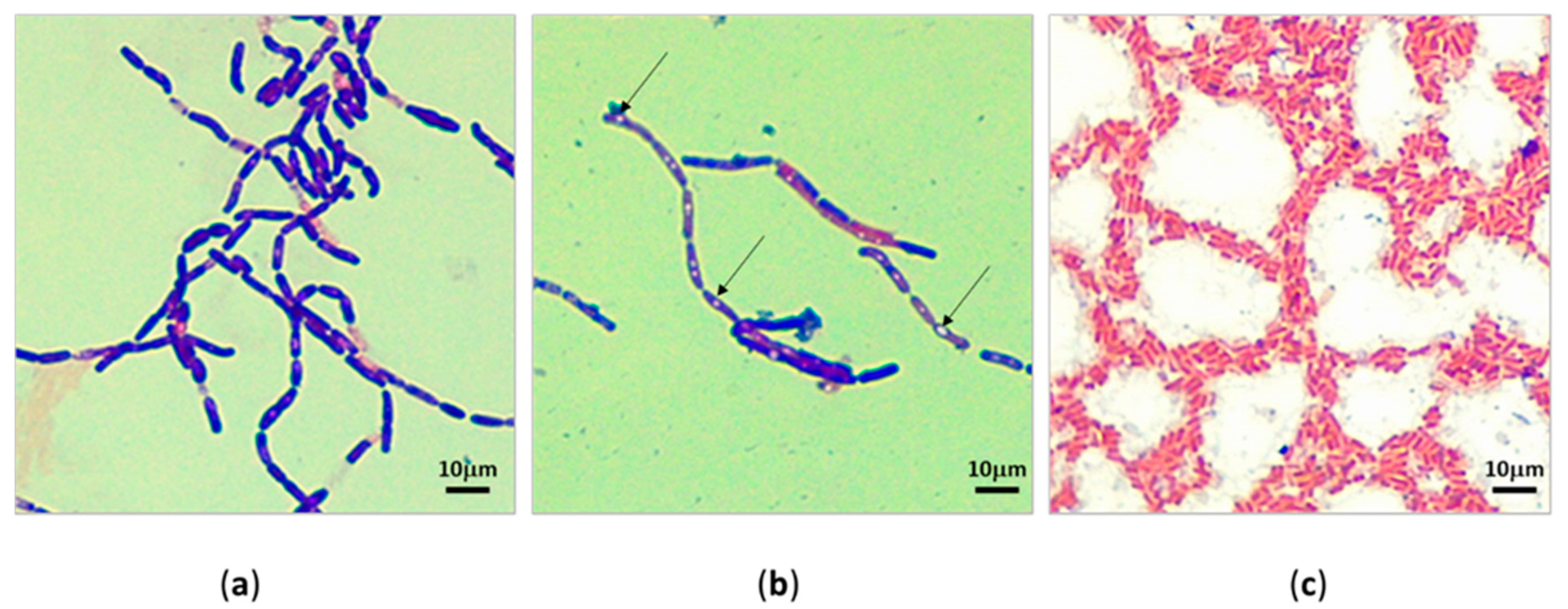 Applmicrobiol 03 00021 g003