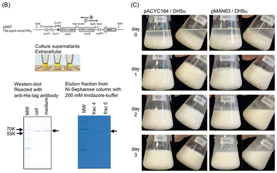 Applmicrobiol 03 00026 g002b
