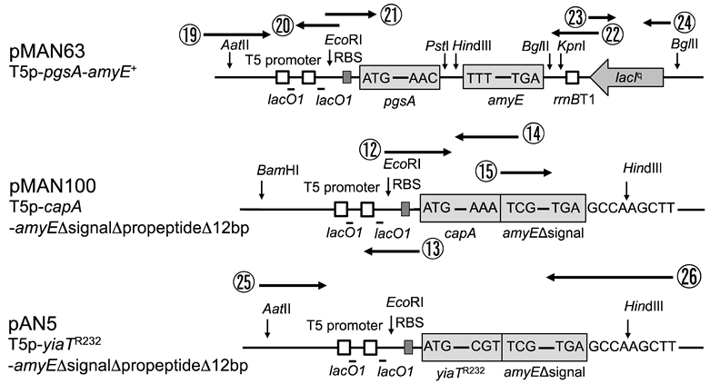 Applmicrobiol 03 00026 i001