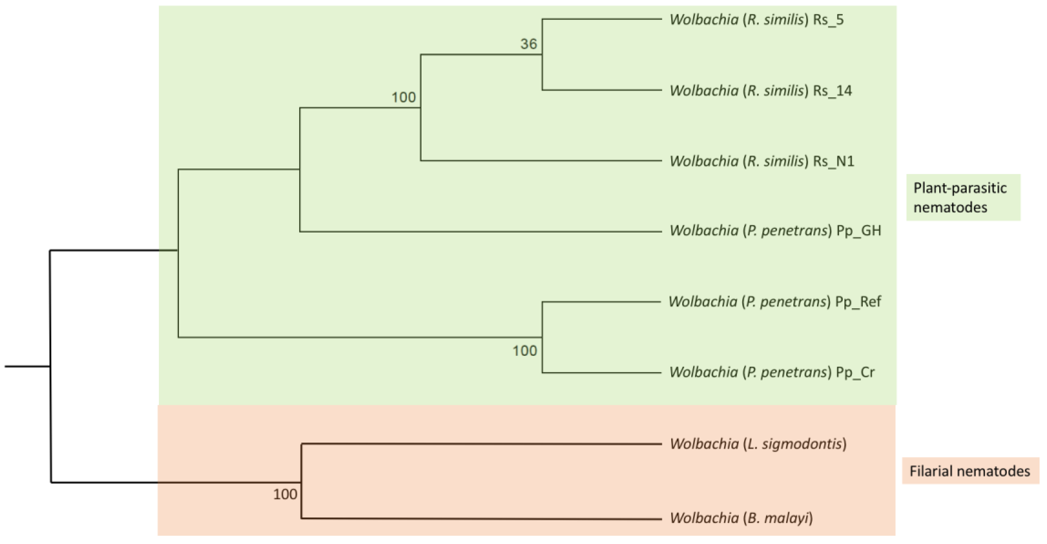 Applmicrobiol 03 00085 g005