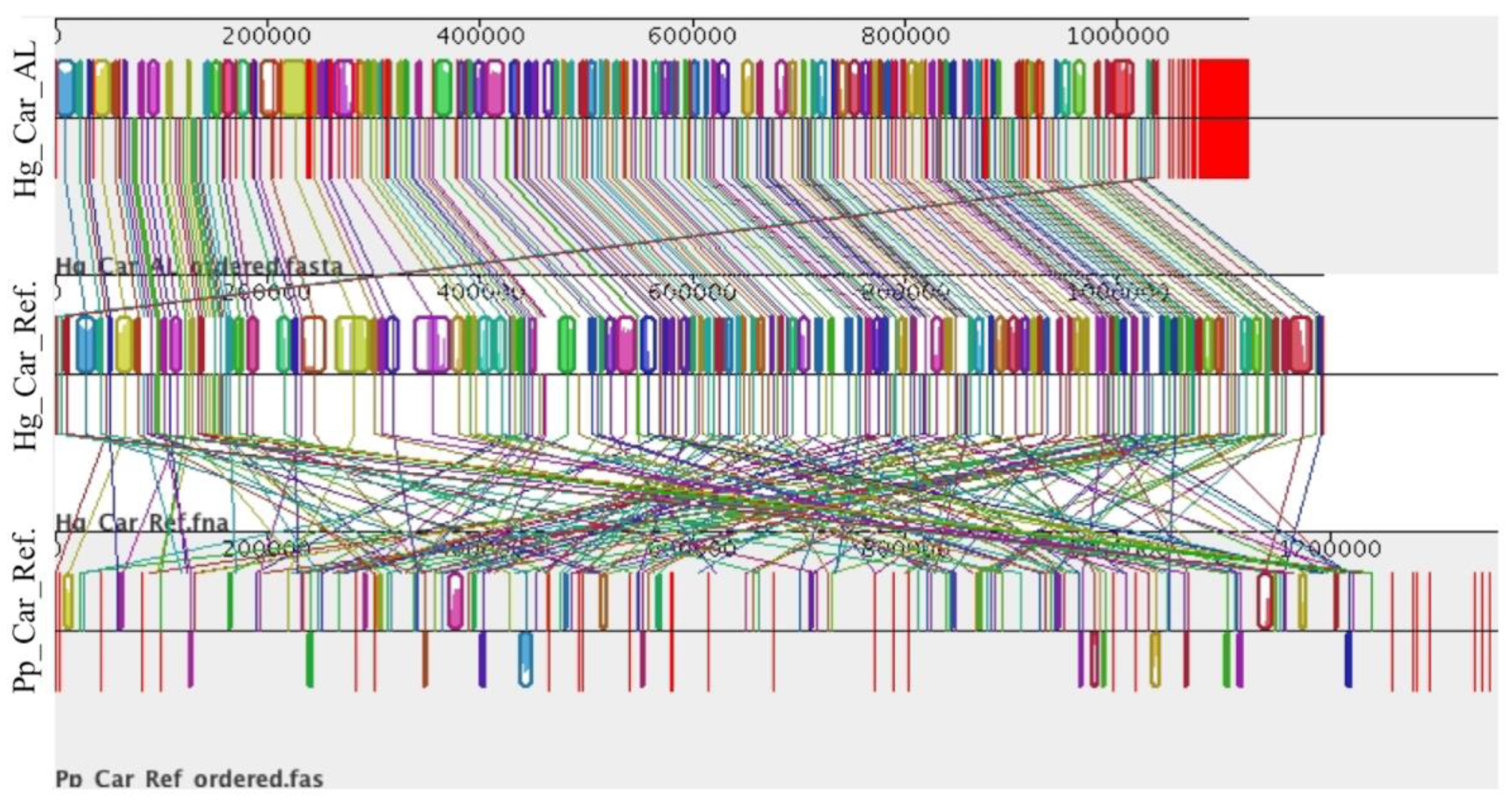 Applmicrobiol 03 00085 g007