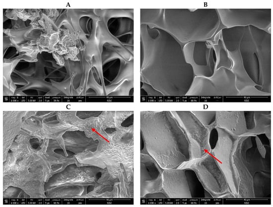 Applmicrobiol 03 00092 g005