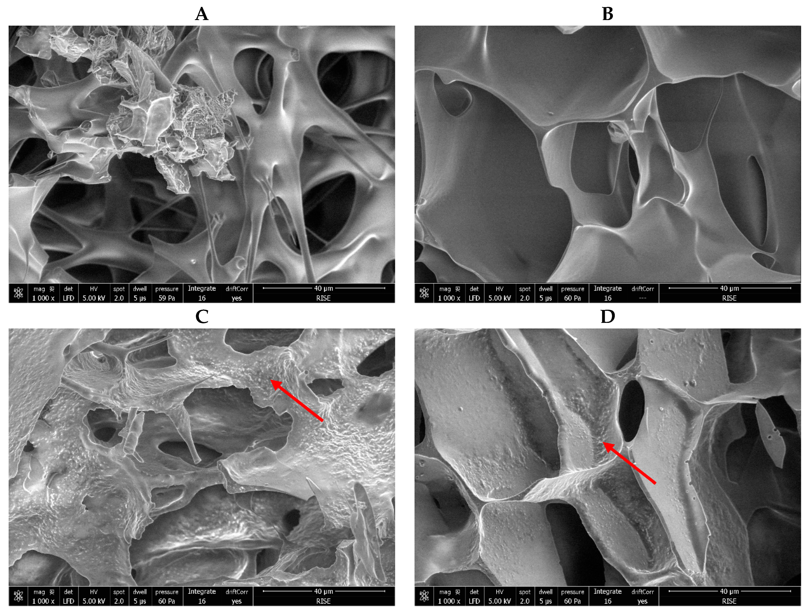 Applmicrobiol 03 00092 g005