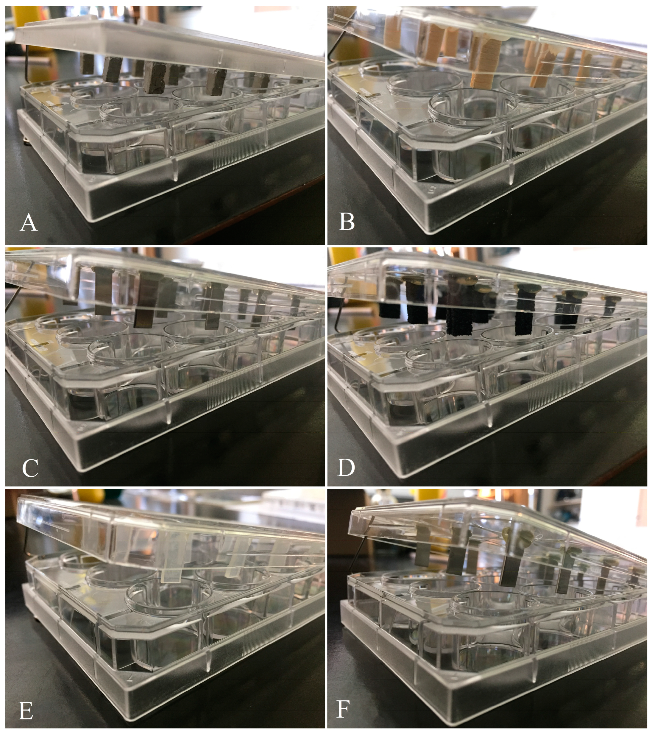 Applmicrobiol 04 00003 g001 Applmicrobiol 04 00003 g001