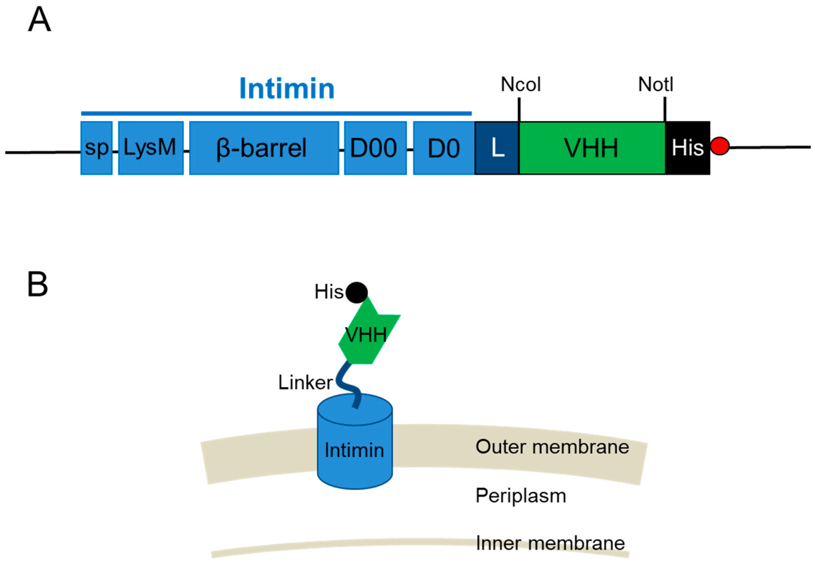 Applmicrobiol 04 00016 g001 Applmicrobiol 04 00016 g001