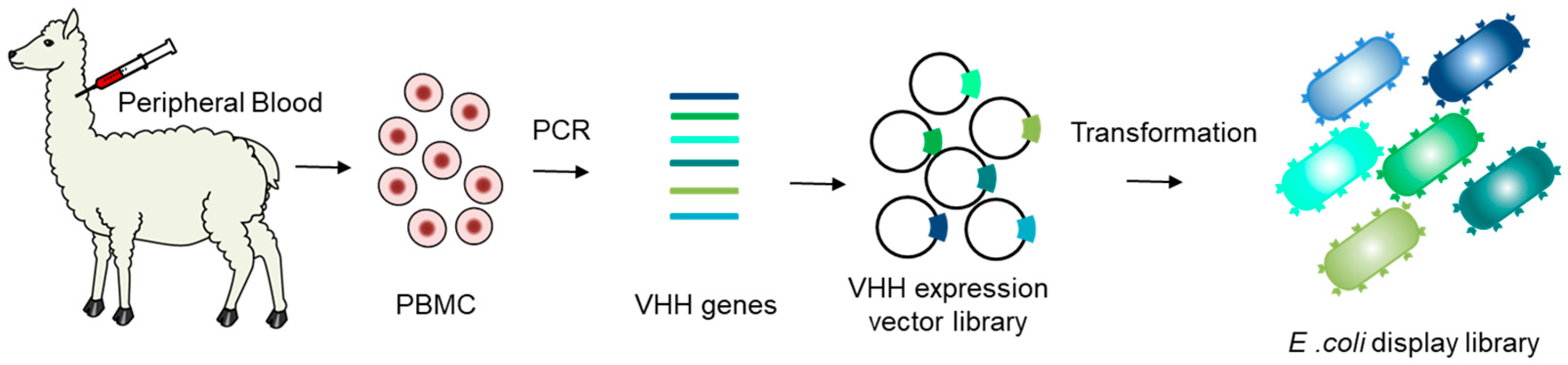 Applmicrobiol 04 00016 g002 Applmicrobiol 04 00016 g002
