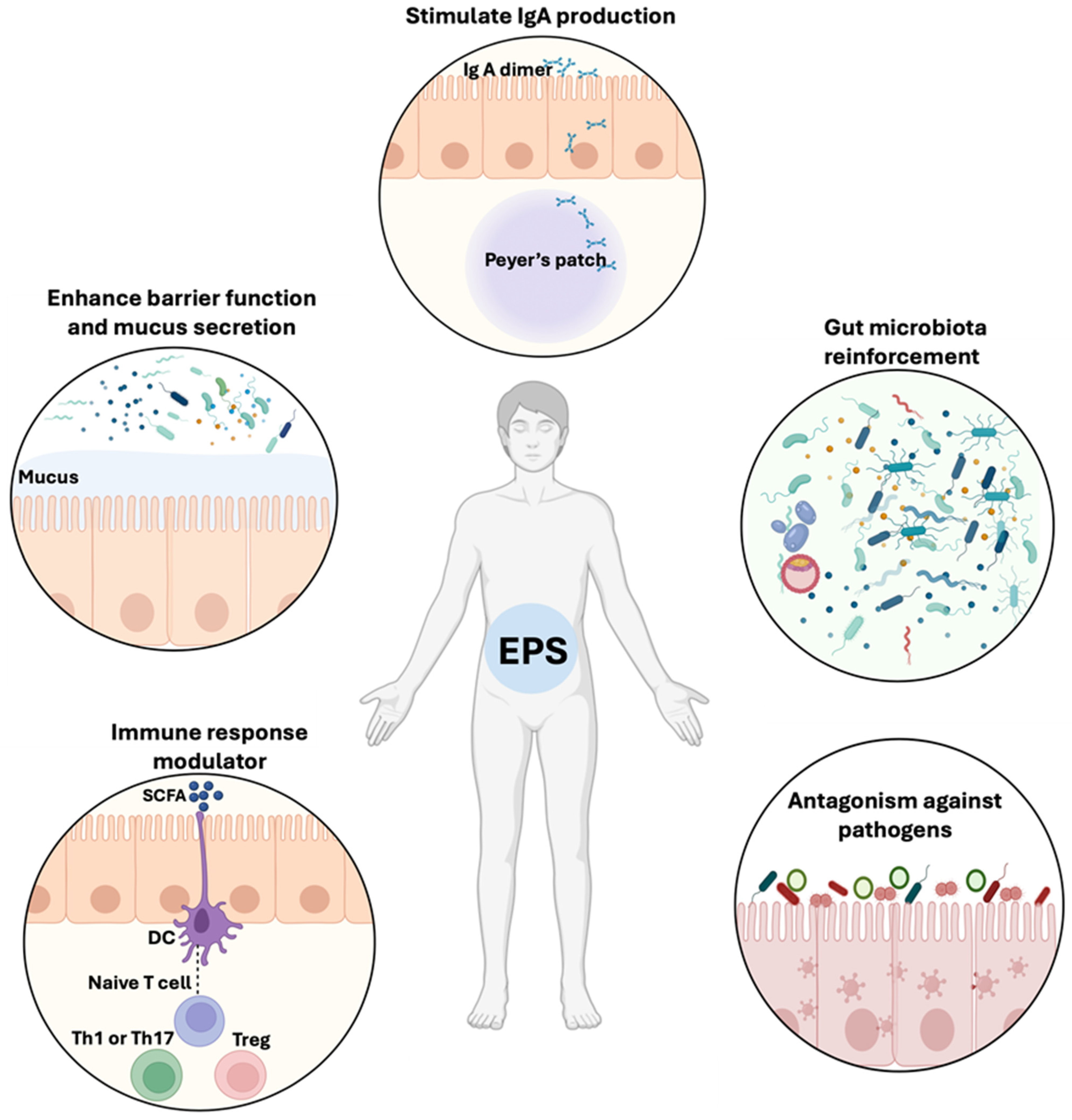 Applmicrobiol 04 00017 g001 Applmicrobiol 04 00017 g001