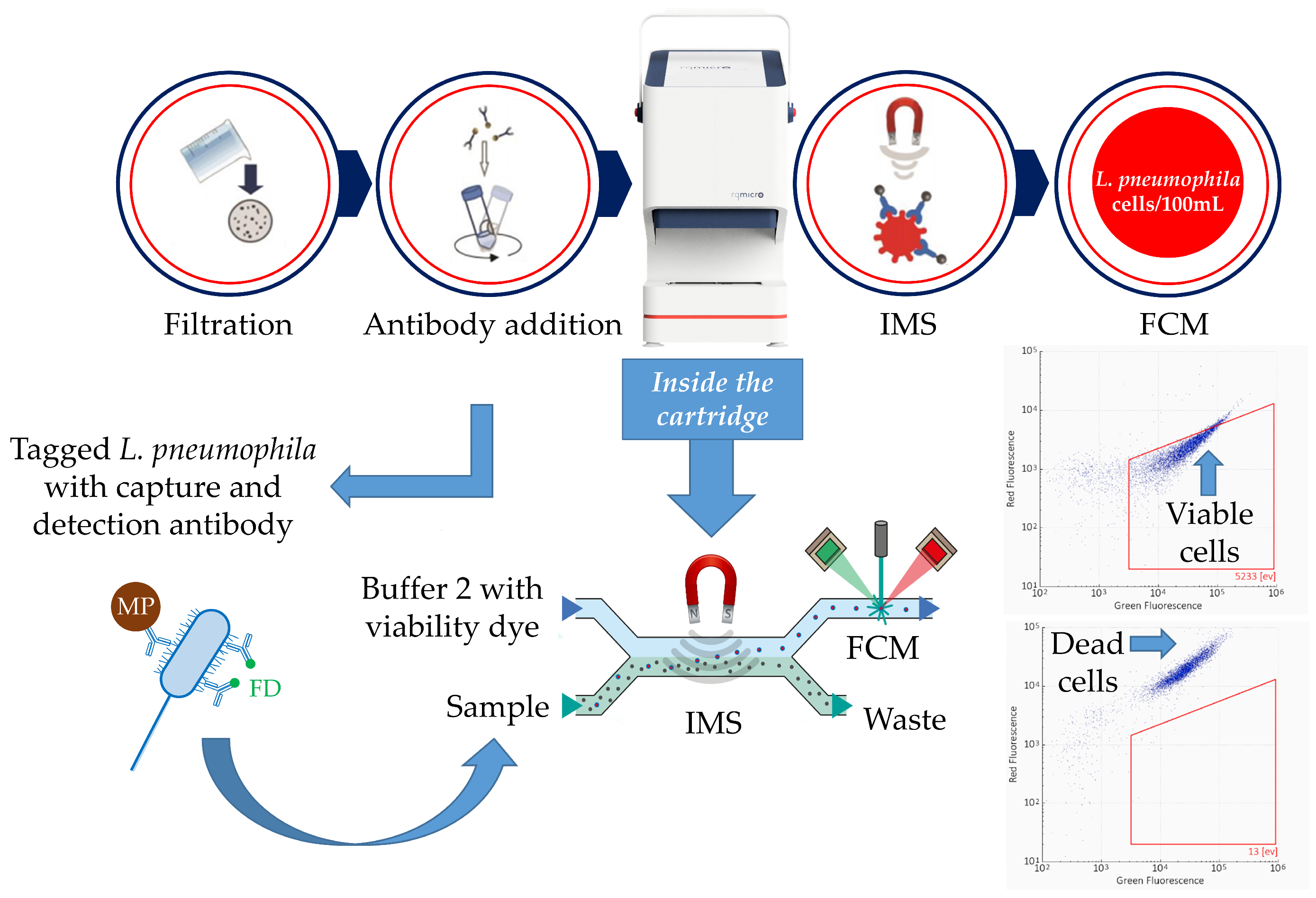 Applmicrobiol 04 00019 g001 Applmicrobiol 04 00019 g001