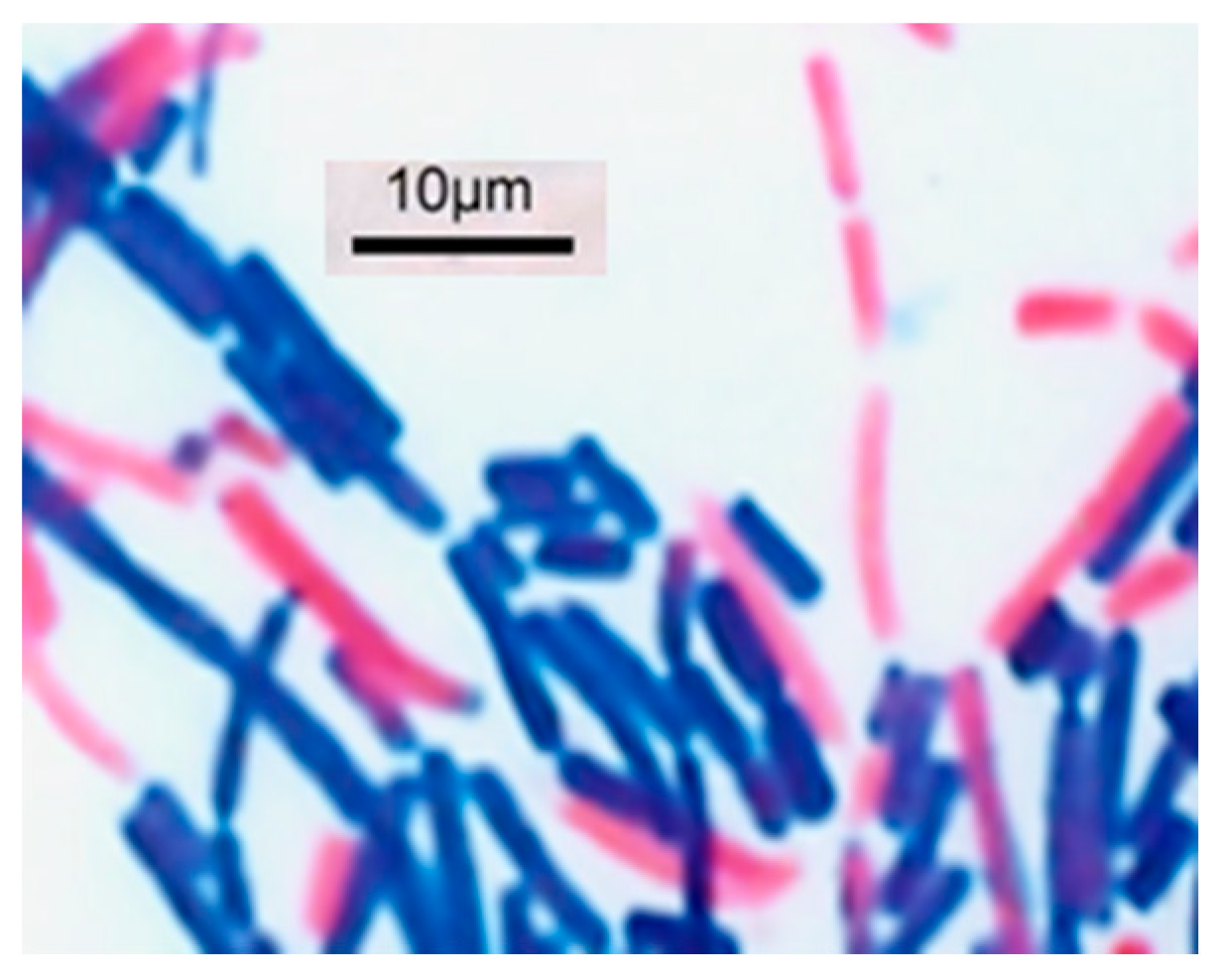 Applmicrobiol 04 00024 g002 Applmicrobiol 04 00024 g002