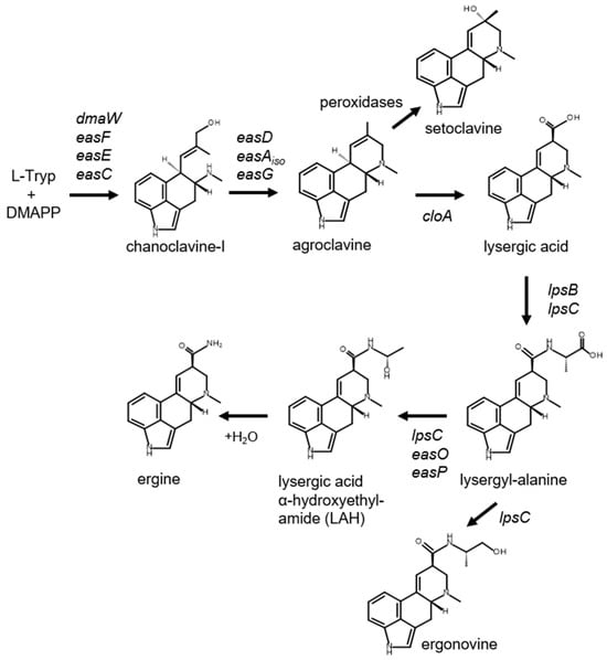 Applmicrobiol 04 00028 g001