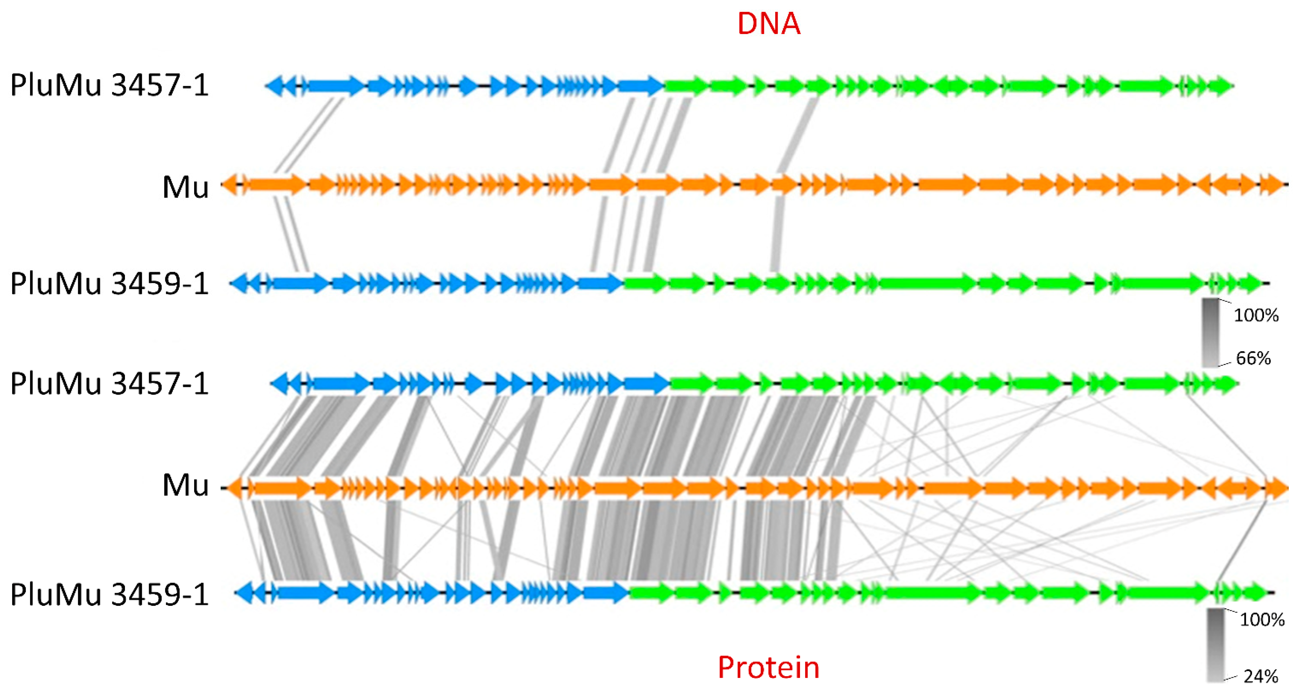 Applmicrobiol 04 00037 g001 Applmicrobiol 04 00037 g001