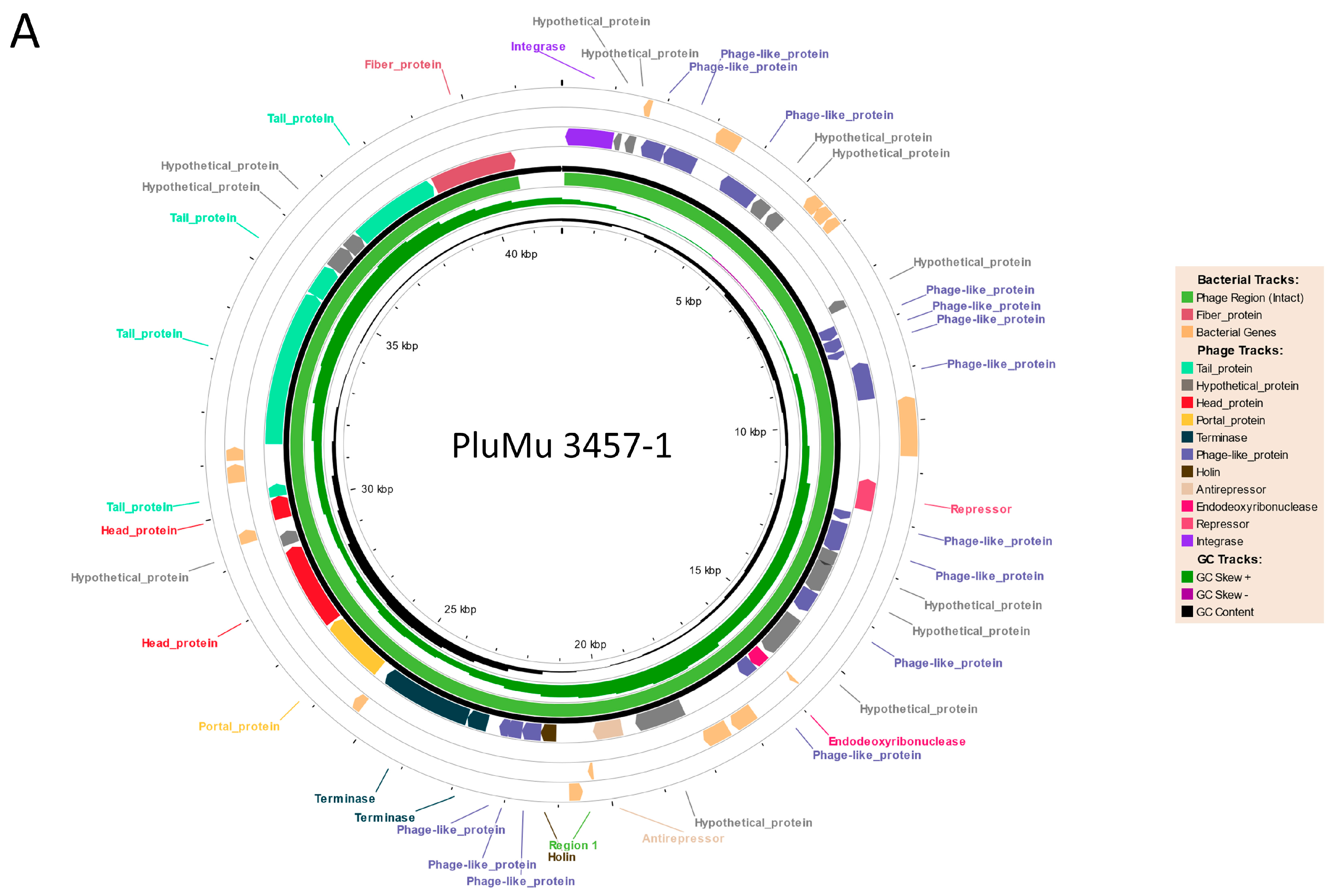 Applmicrobiol 04 00037 g002a Applmicrobiol 04 00037 g002a