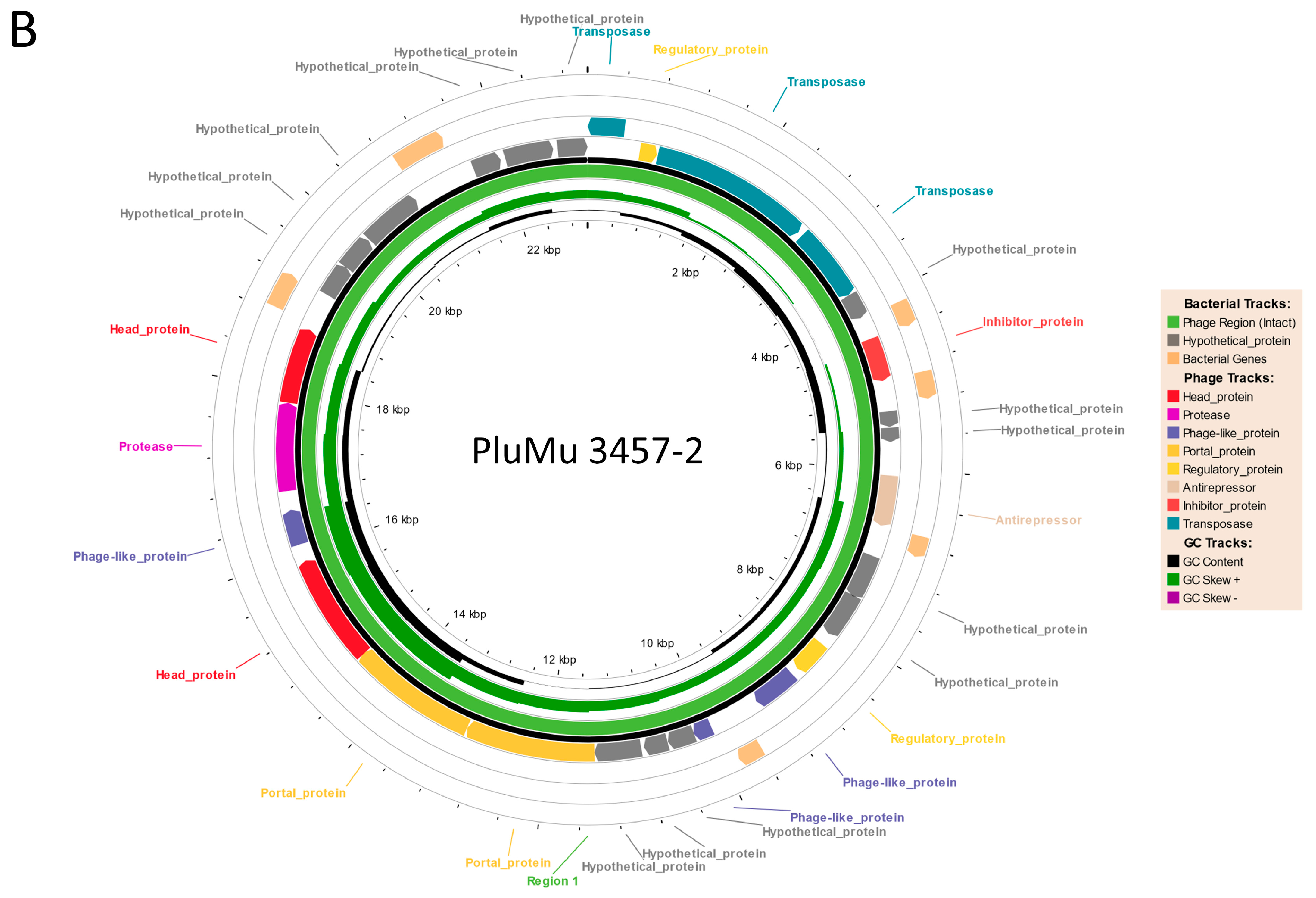 Applmicrobiol 04 00037 g002b Applmicrobiol 04 00037 g002b