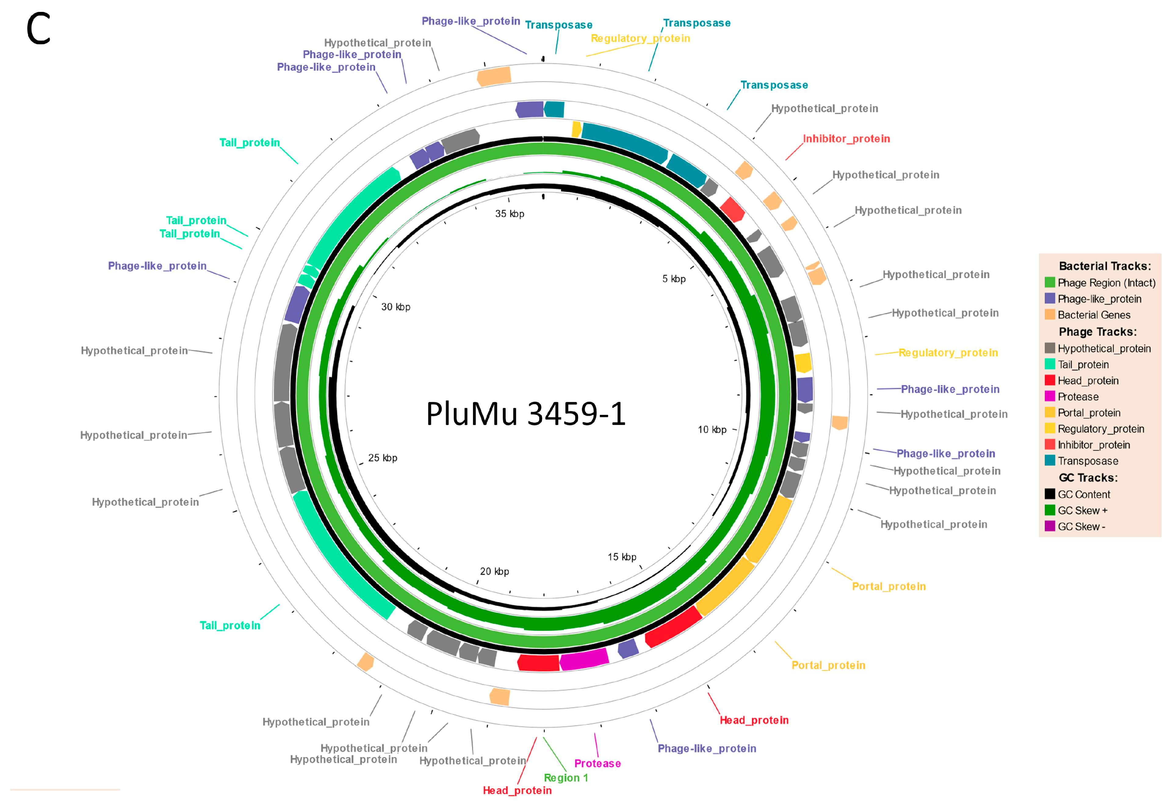 Applmicrobiol 04 00037 g002c Applmicrobiol 04 00037 g002c