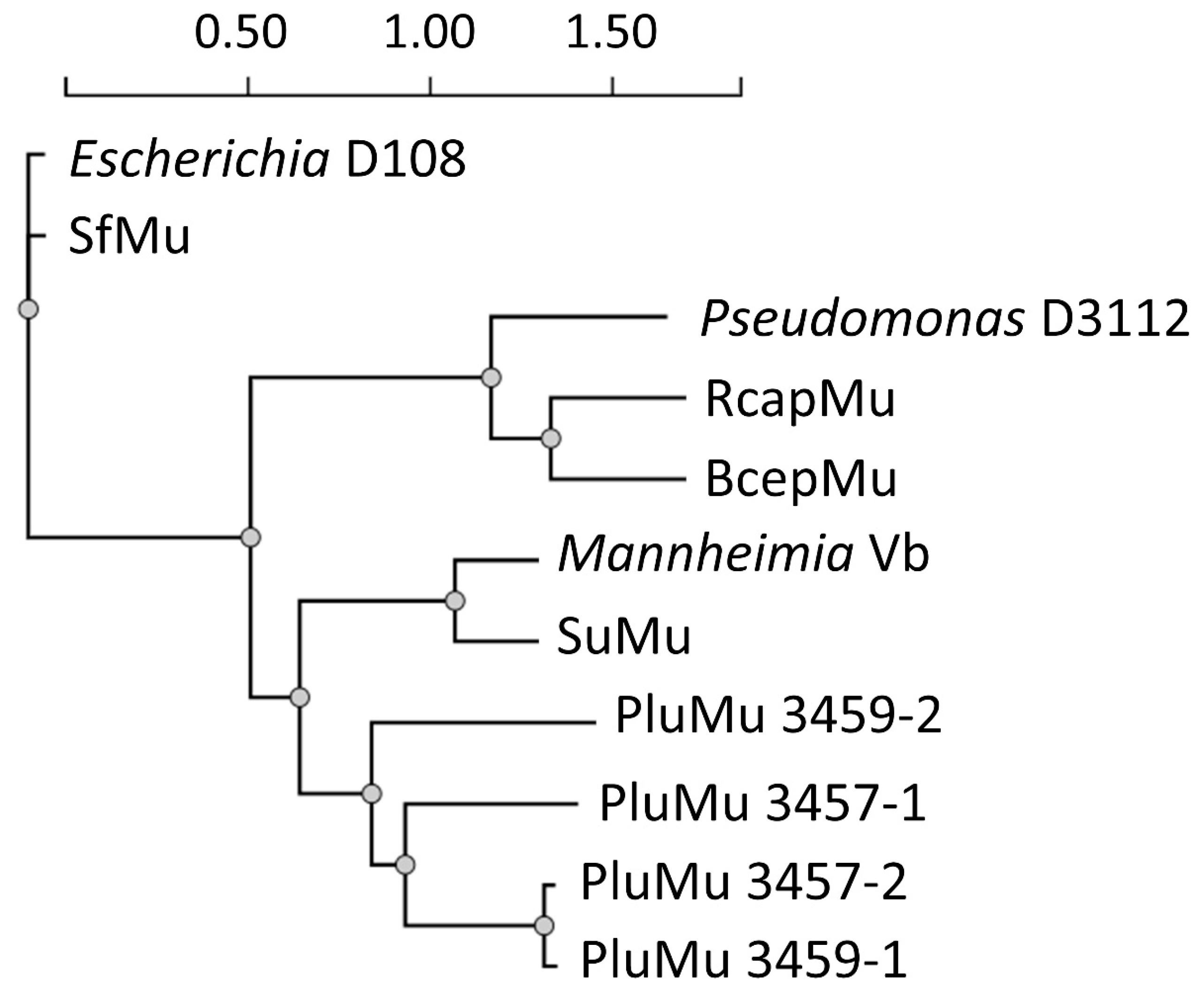Applmicrobiol 04 00037 g003 Applmicrobiol 04 00037 g003