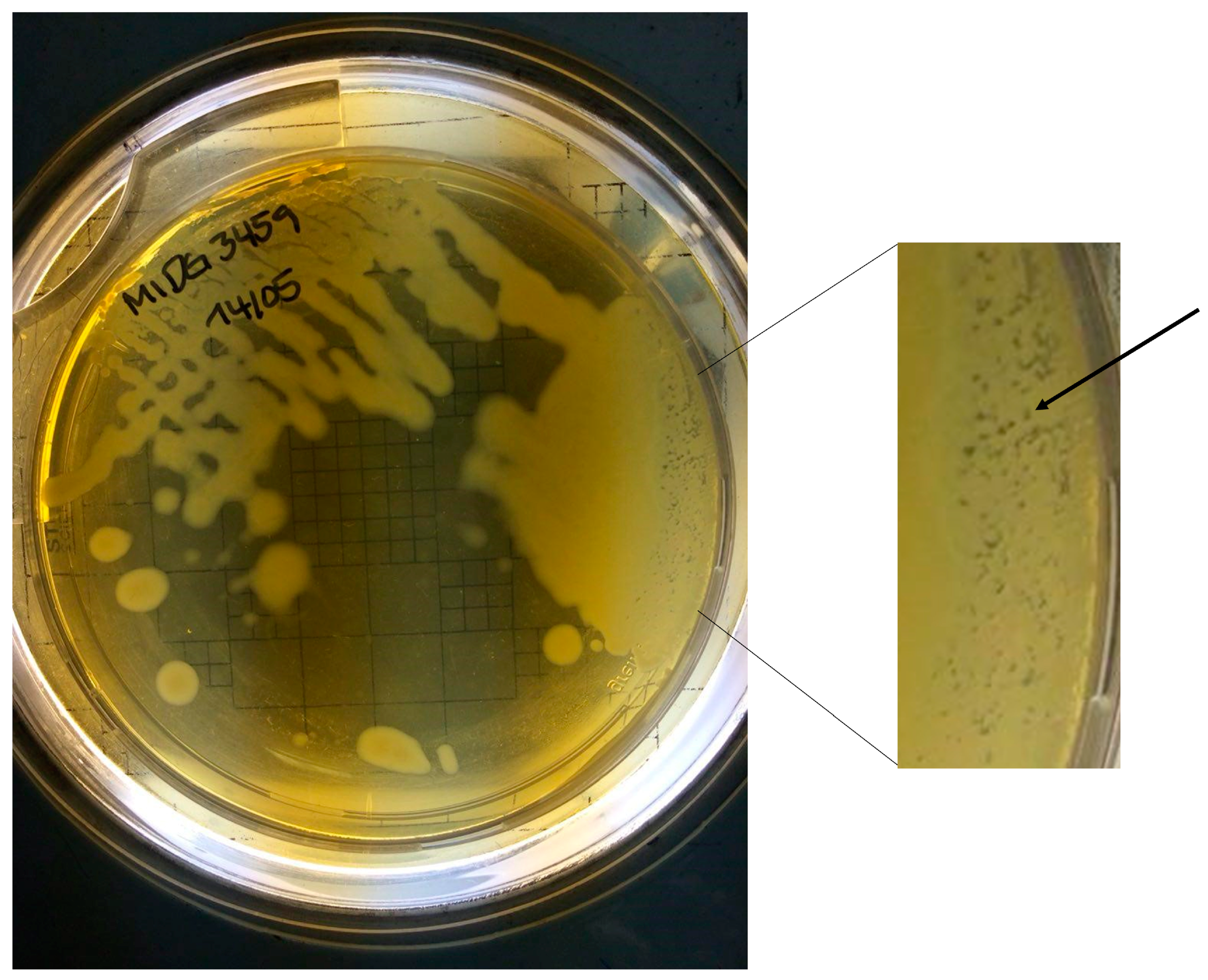 Applmicrobiol 04 00037 g007 Applmicrobiol 04 00037 g007