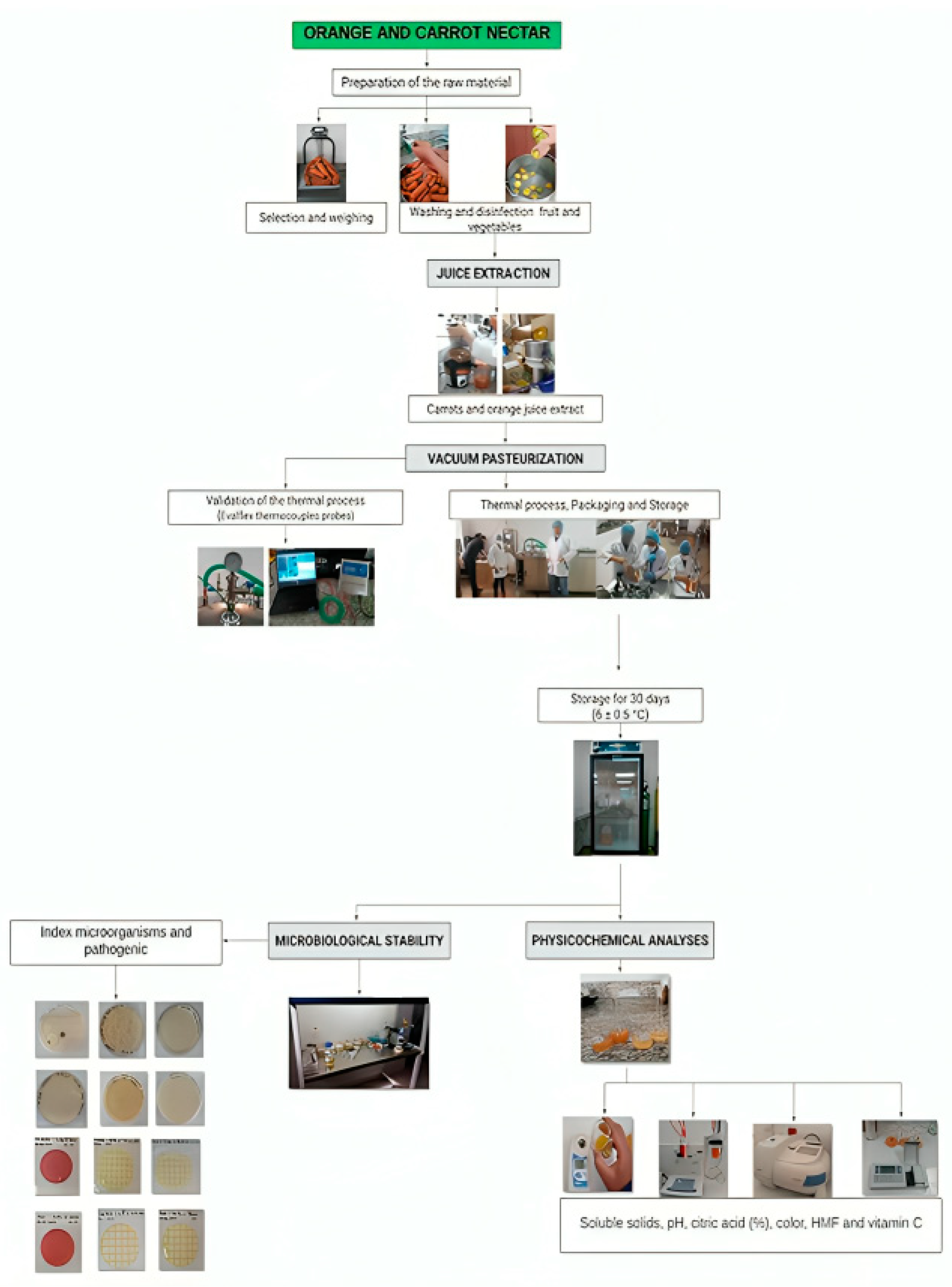 Applmicrobiol 04 00050 g001 Applmicrobiol 04 00050 g001