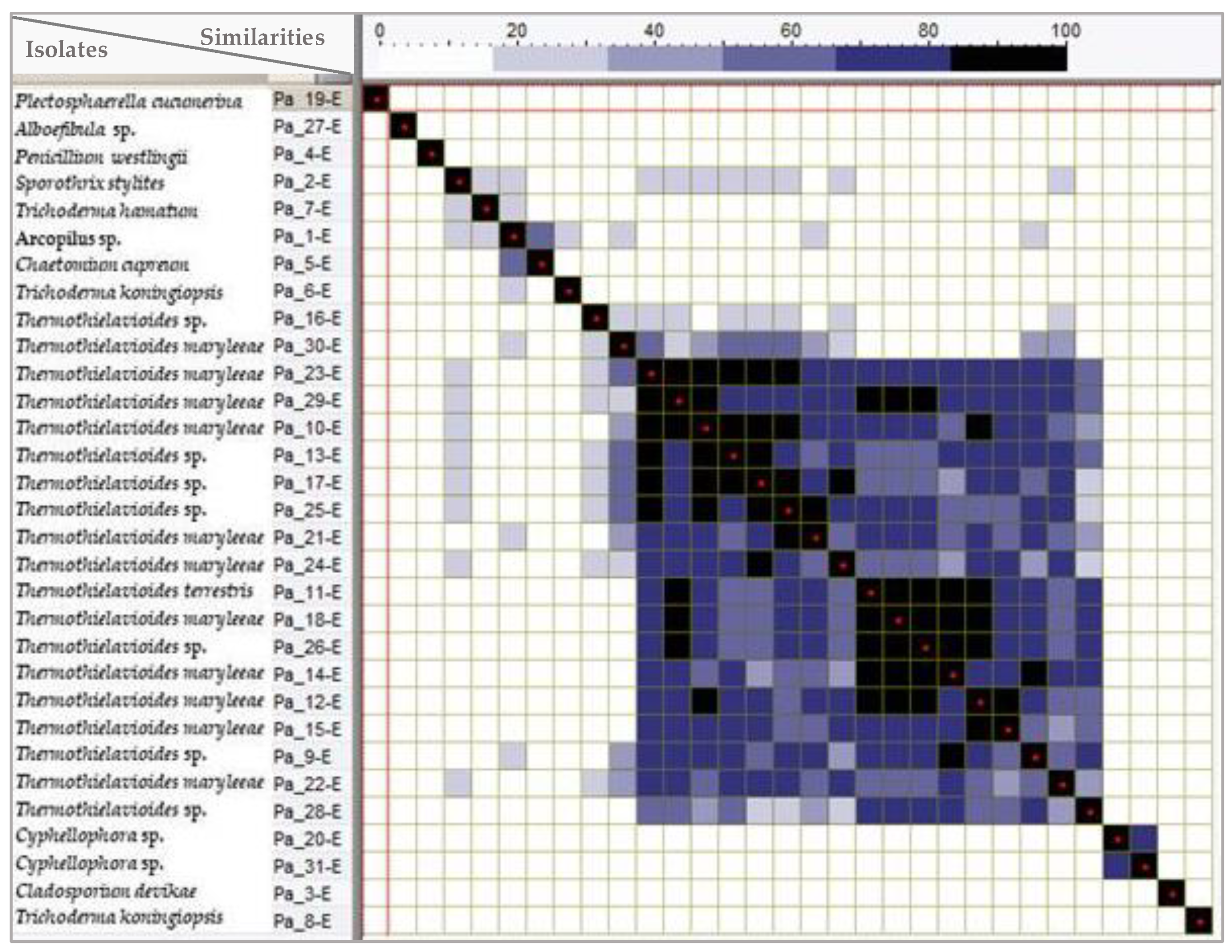 Applmicrobiol 04 00052 g002