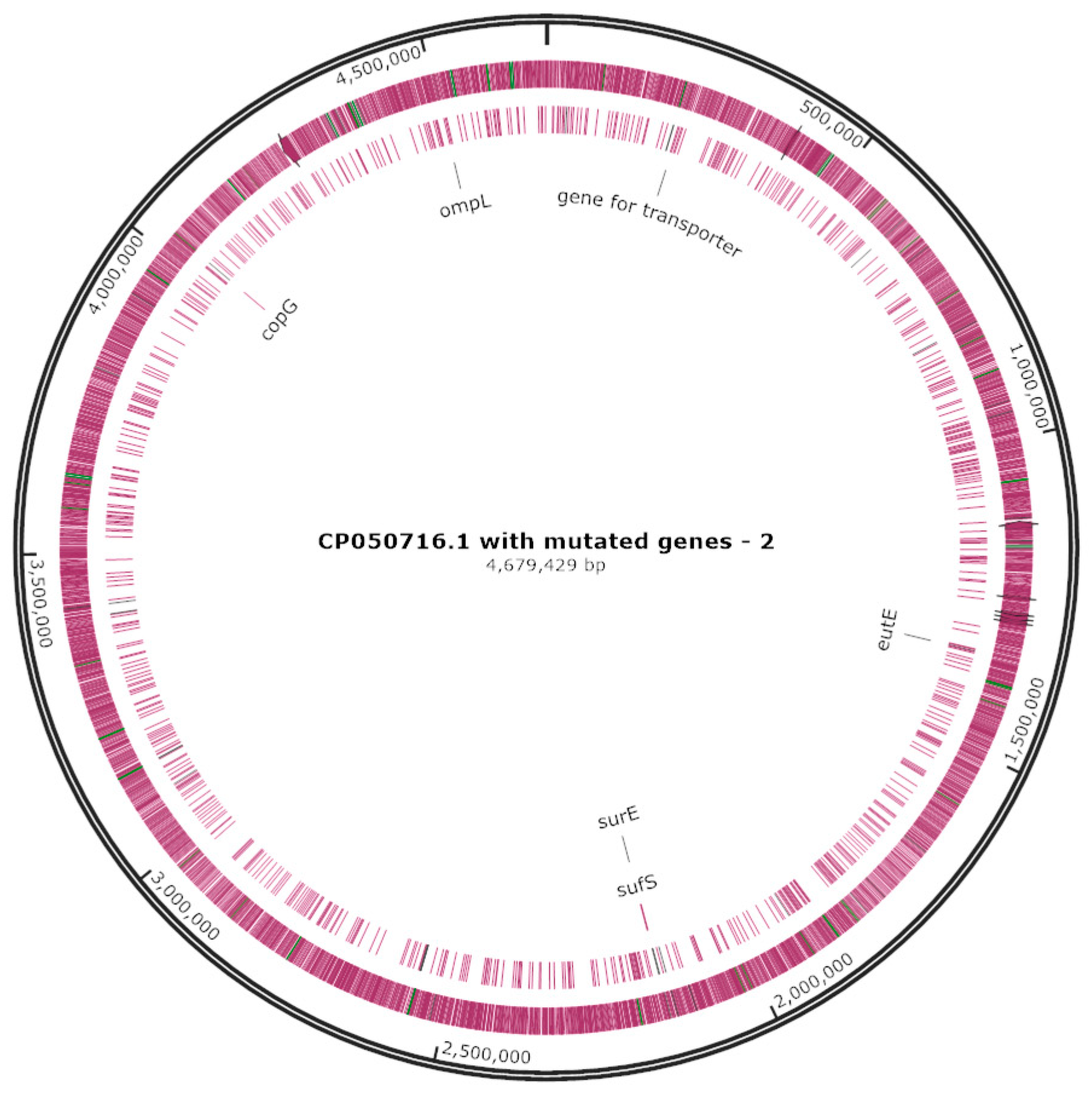 Applmicrobiol 04 00053 g003