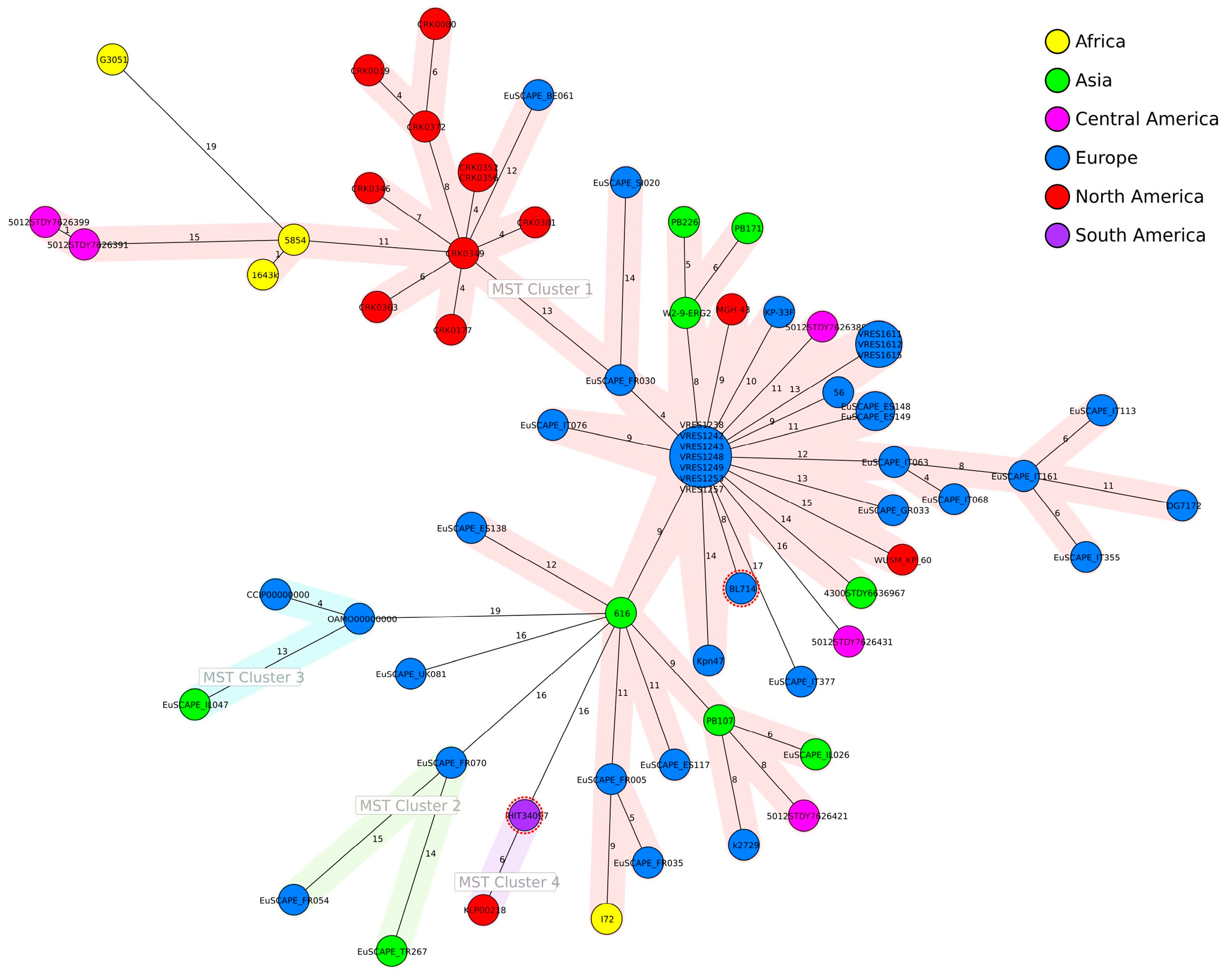 Applmicrobiol 04 00054 g002