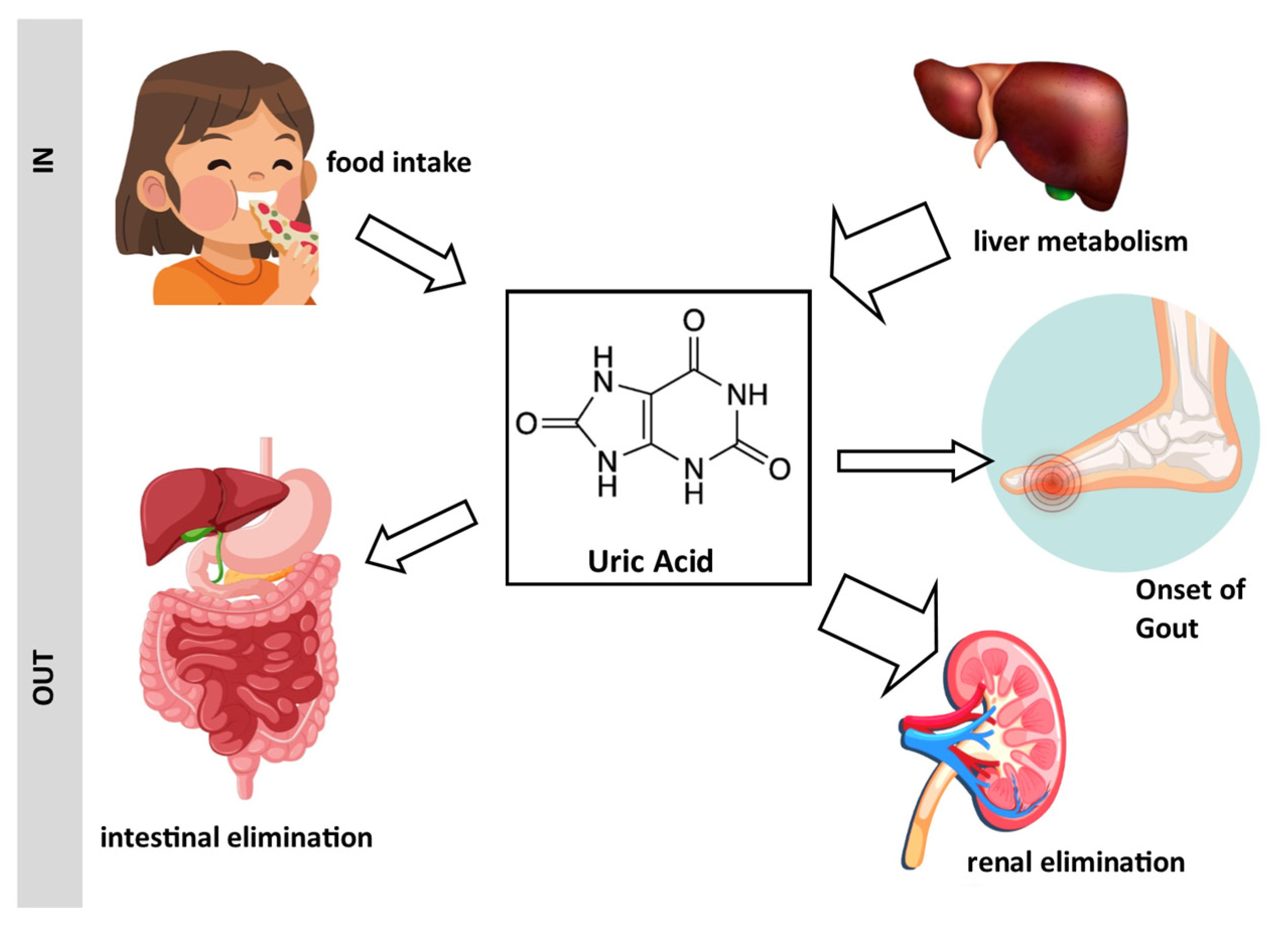 Applmicrobiol 04 00057 g001