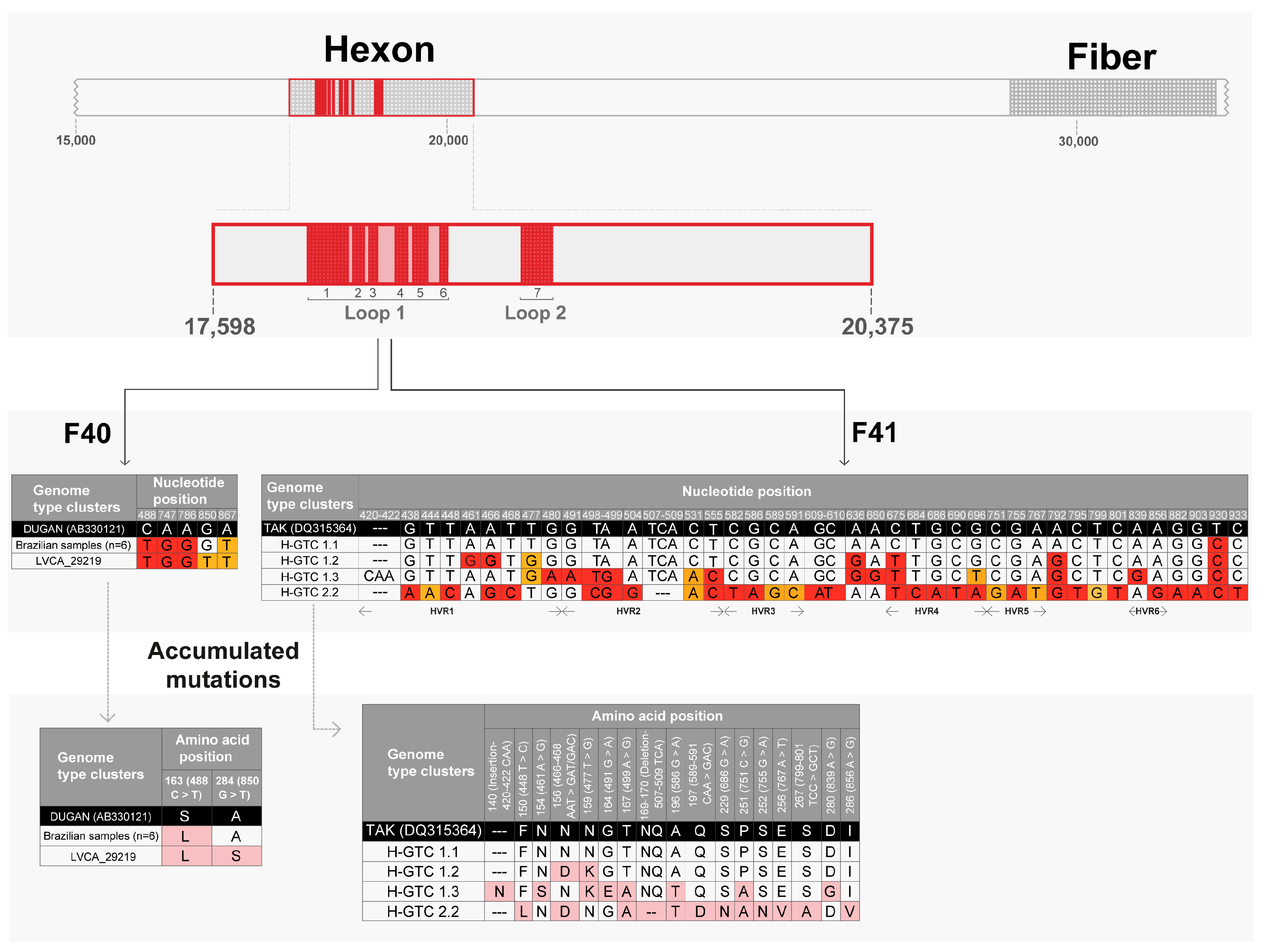 Applmicrobiol 04 00069 g004