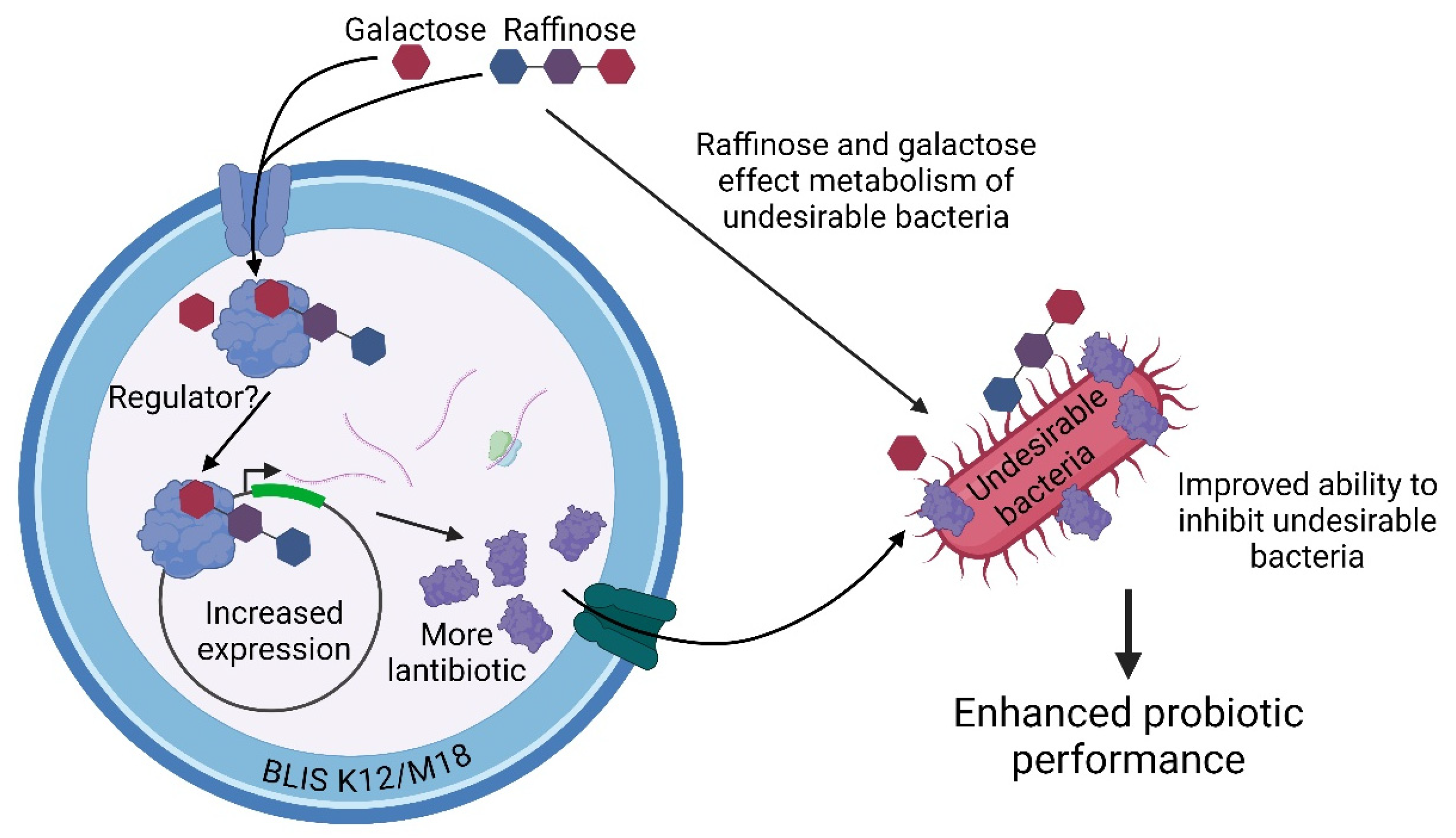 Applmicrobiol 04 00091 g004