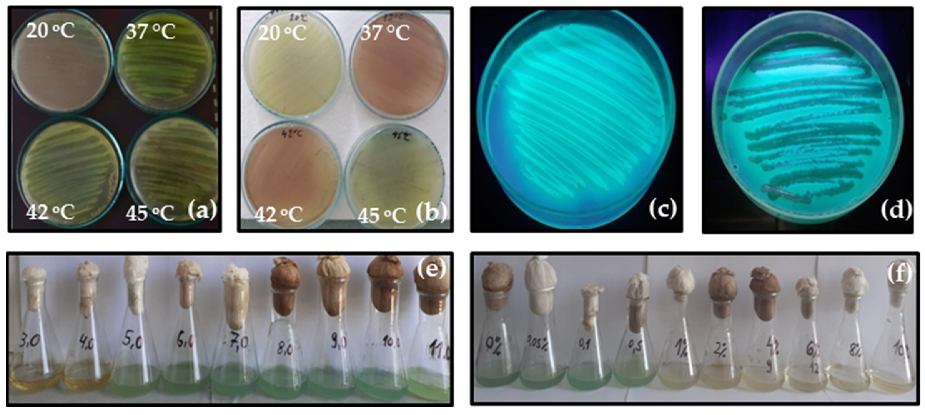 Applmicrobiol 04 00096 g004