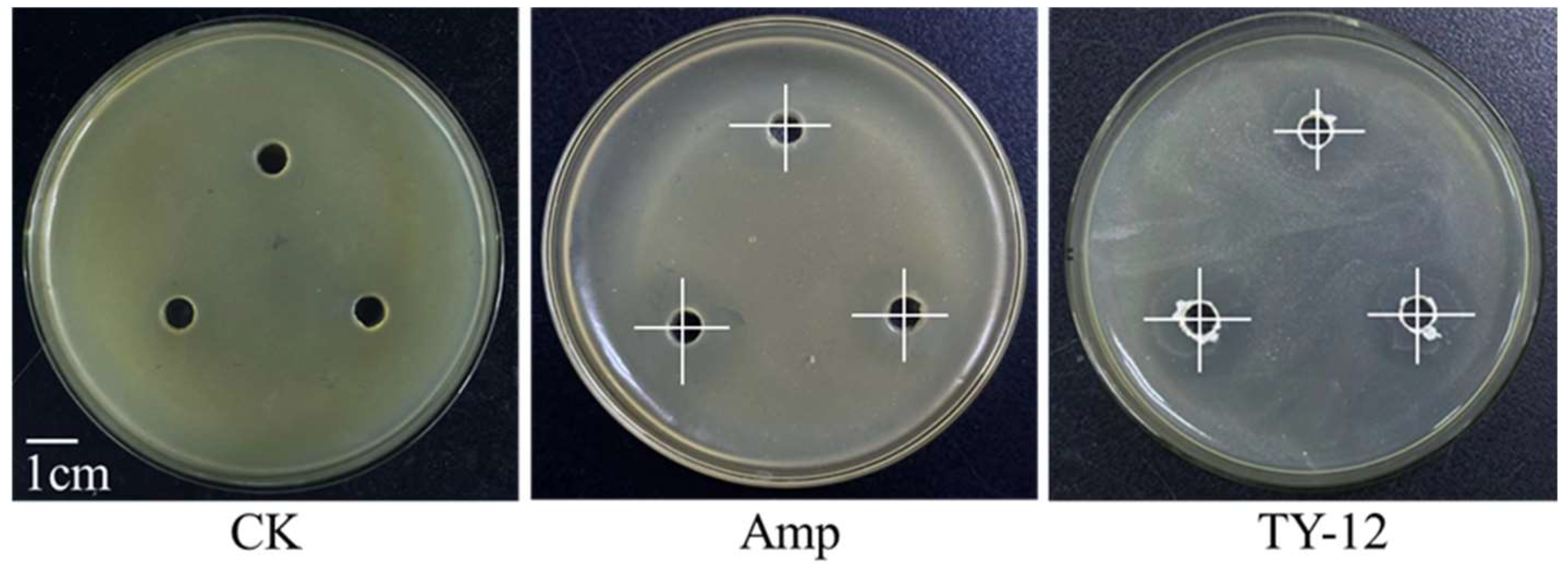 Applmicrobiol 05 00002 g001 Applmicrobiol 05 00002 g001