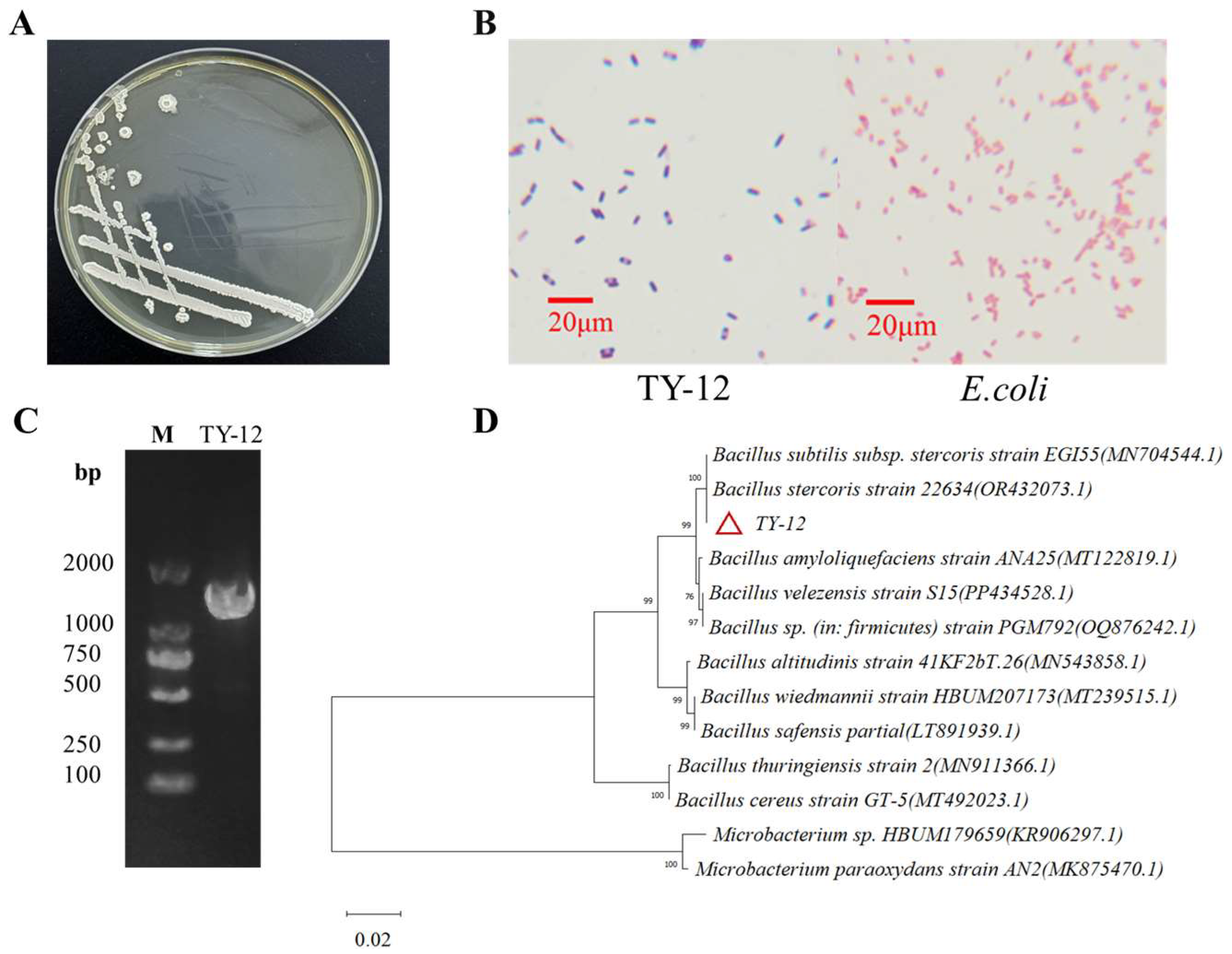 Applmicrobiol 05 00002 g002 Applmicrobiol 05 00002 g002