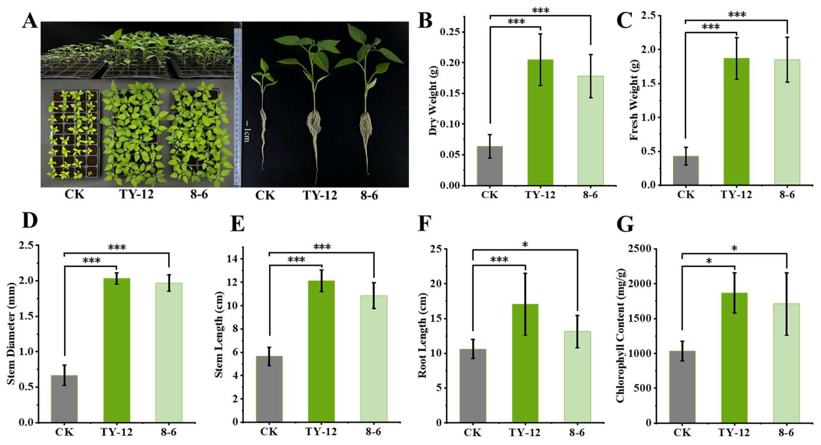 Applmicrobiol 05 00002 g007 Applmicrobiol 05 00002 g007